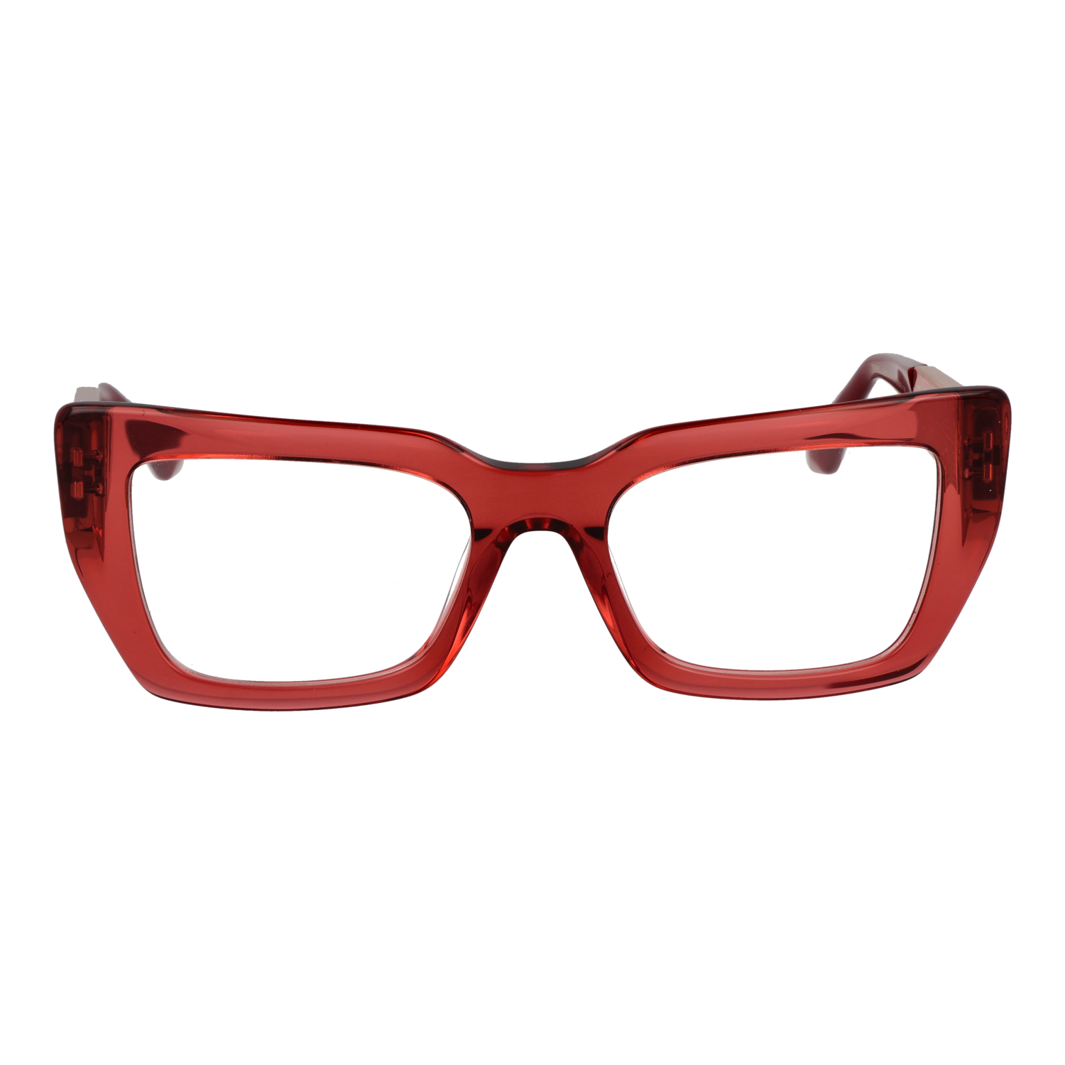 Ana Hickmann Optical Frame AH6541 T02 52