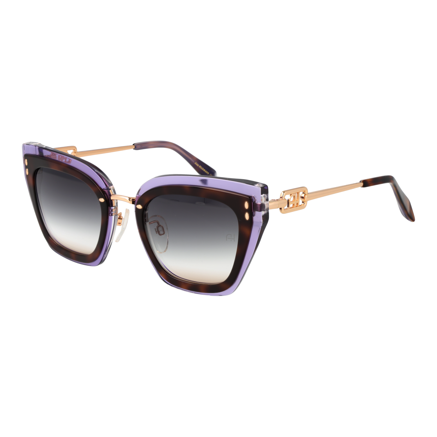 Ana Hickmann Sunglasses AH9405 G21 52