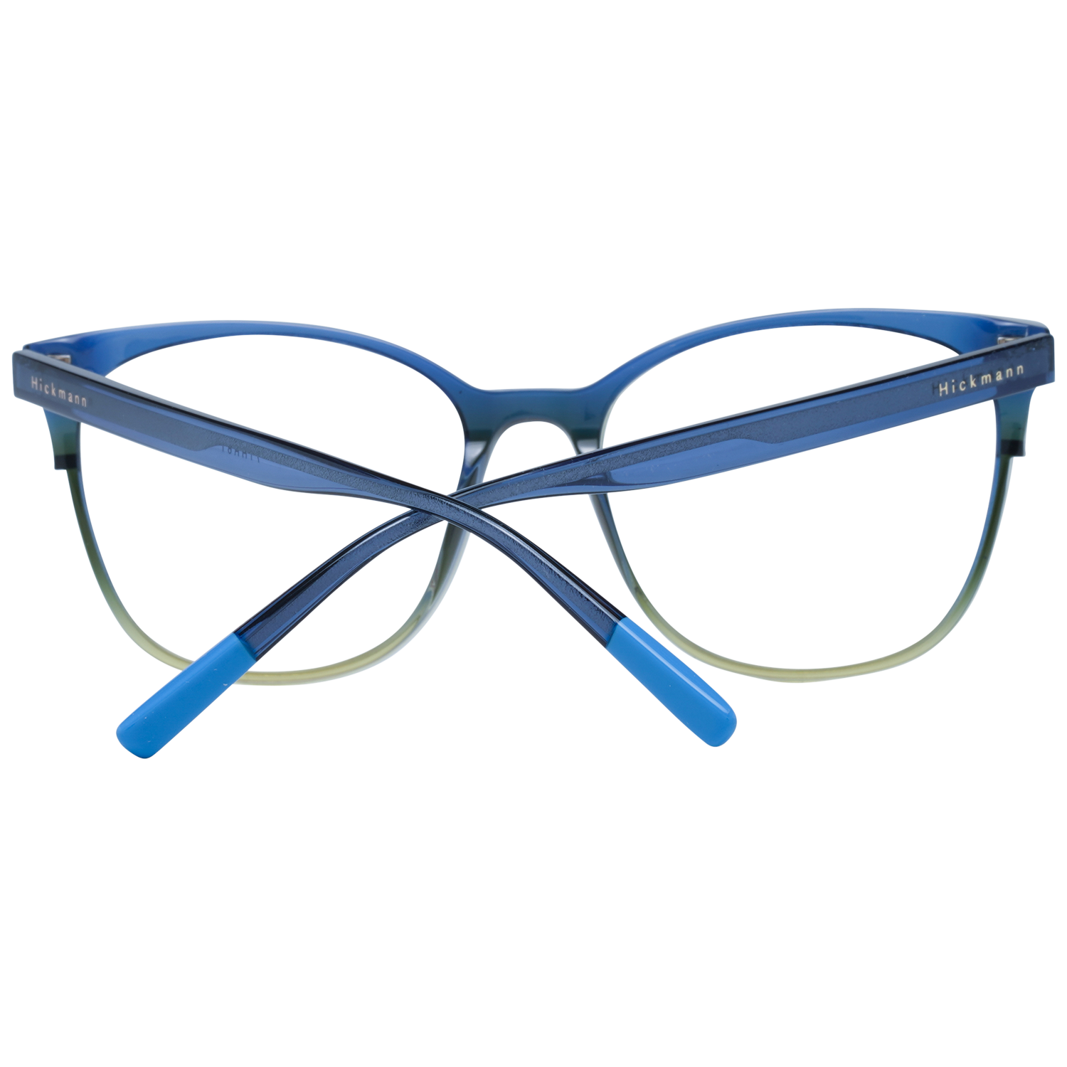 Ana Hickmann Brille HI6231 C02 52