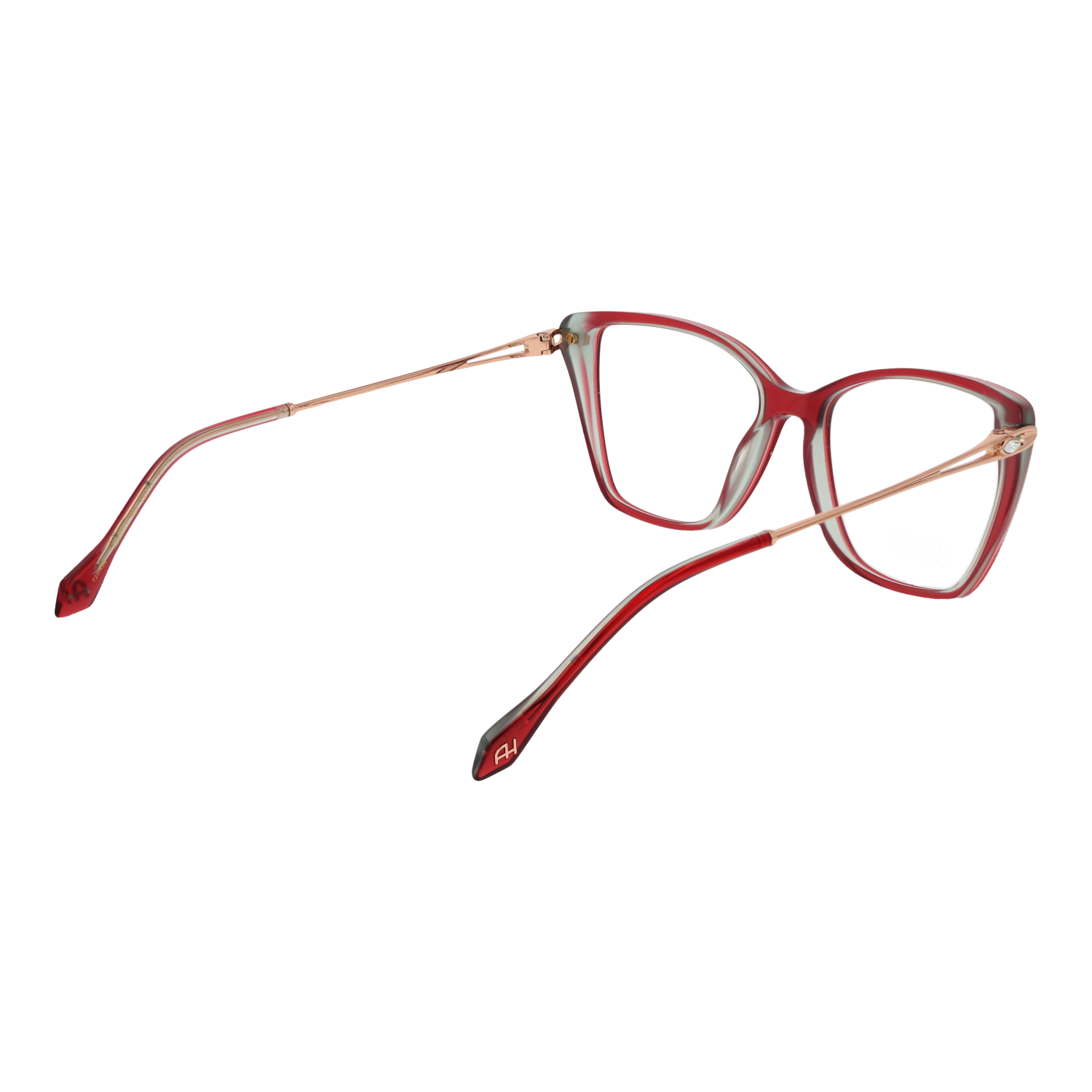 Ana Hickmann Optical Frame AH6501T H04 53