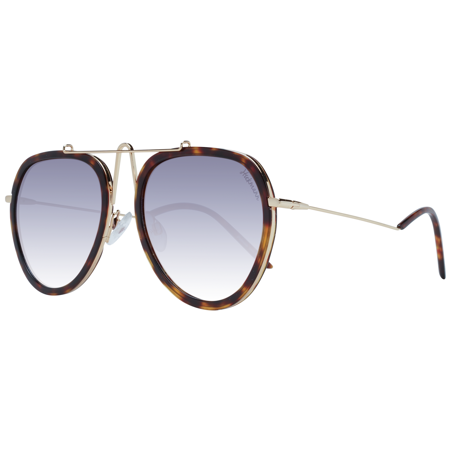Ana Hickmann Sunglasses HI3070 G21 58