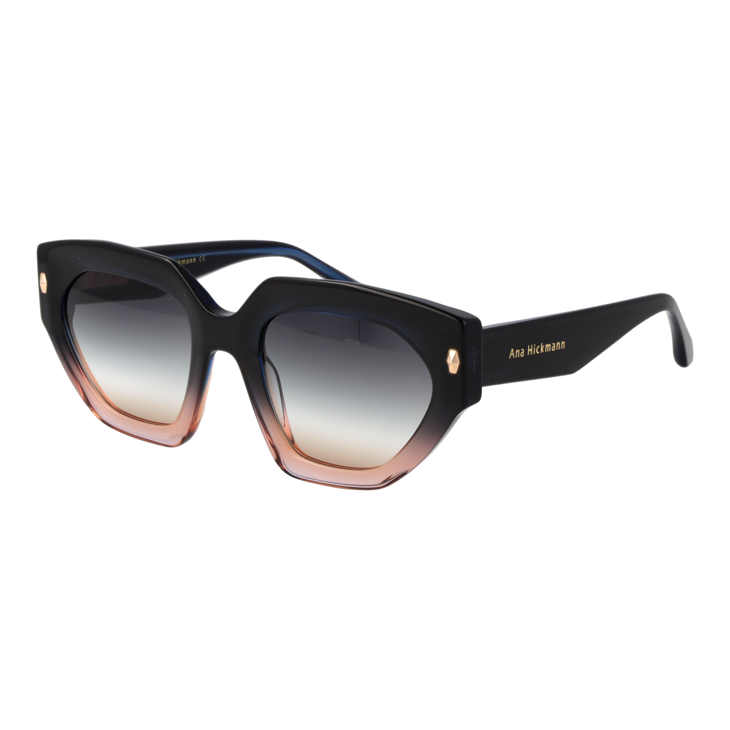Ana Hickmann Sunglasses AH9376 C02 53