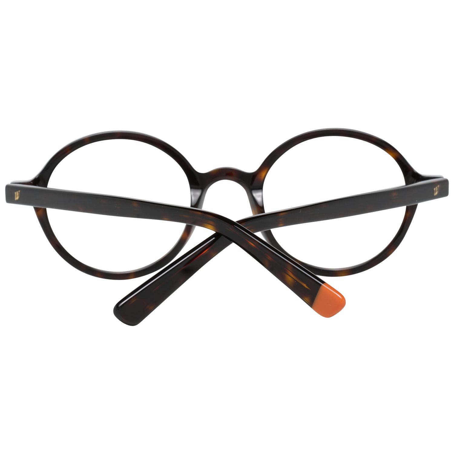 Web Brille WE5262 052 47