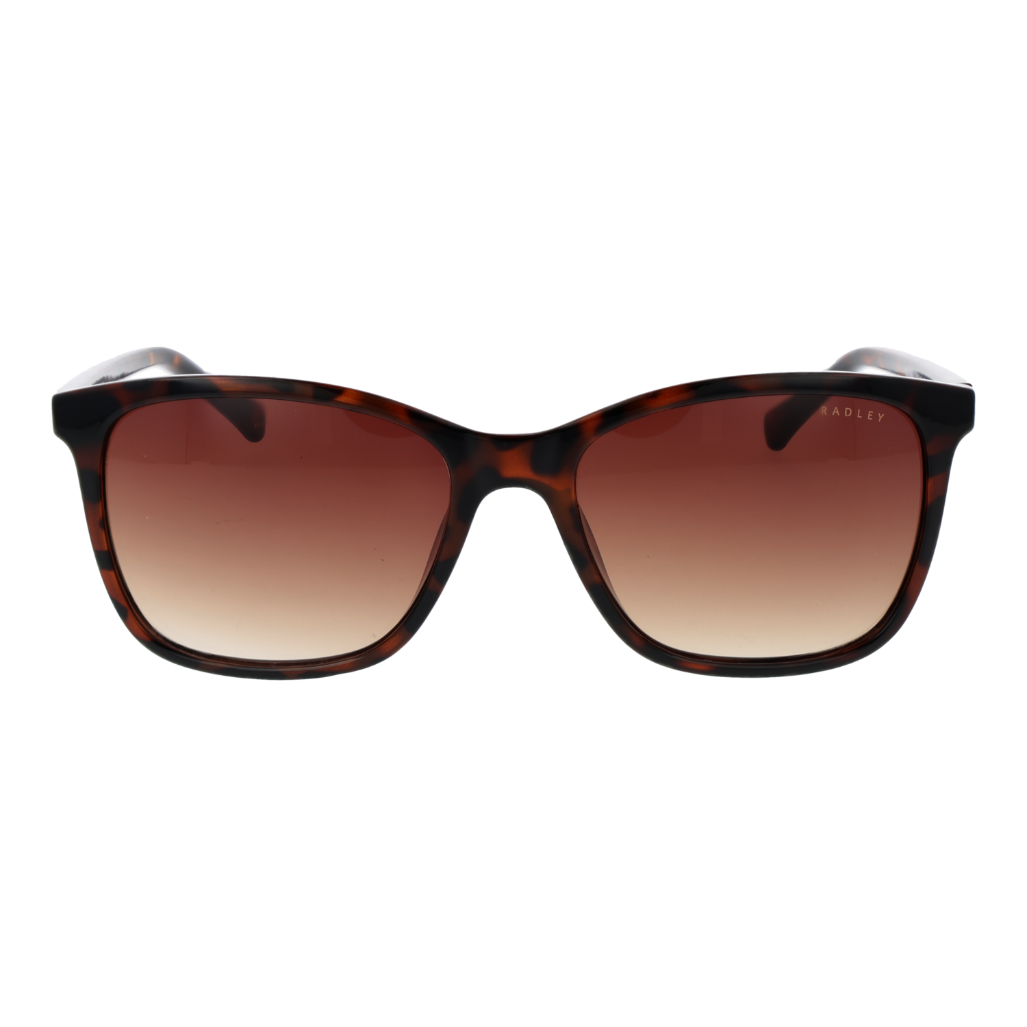 Radley Sonnenbrille RDS-6563 102 55