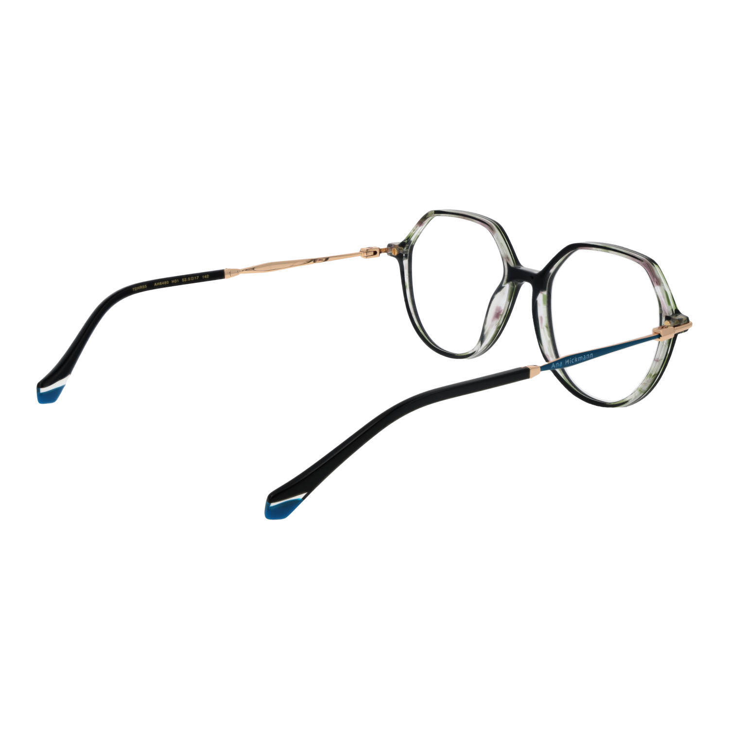 Ana Hickmann Optical Frame AH6480 H01 52