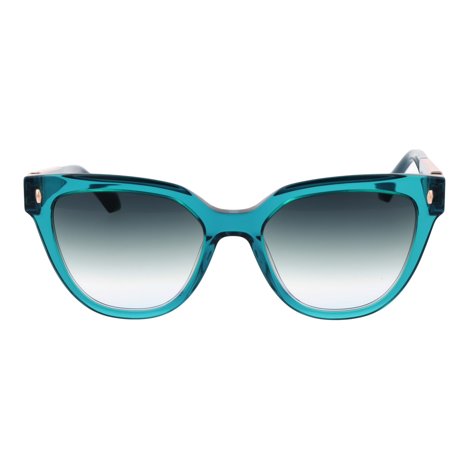 Ana Hickmann Sunglasses AH9375 T01 54