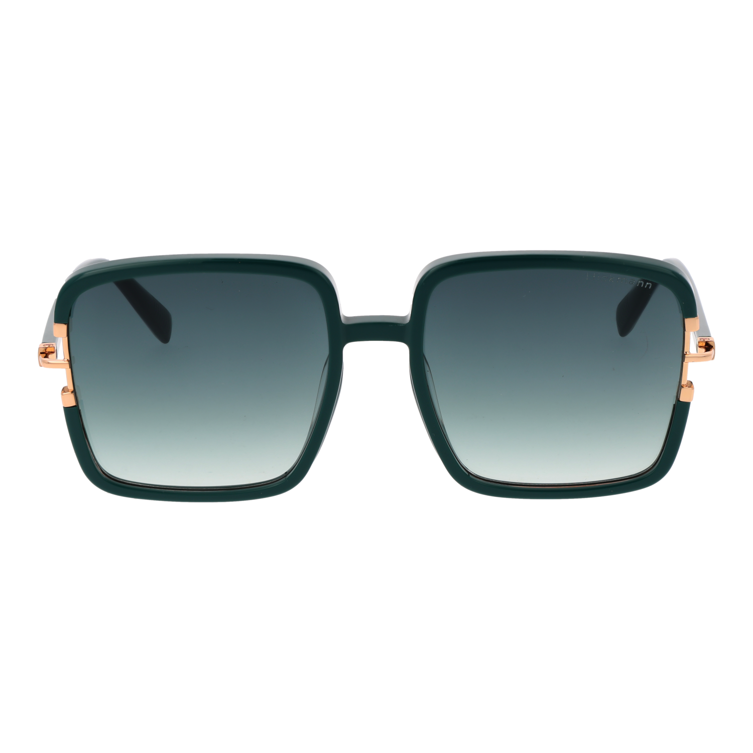 Ana Hickmann Sonnenbrille HI9183 D01 57