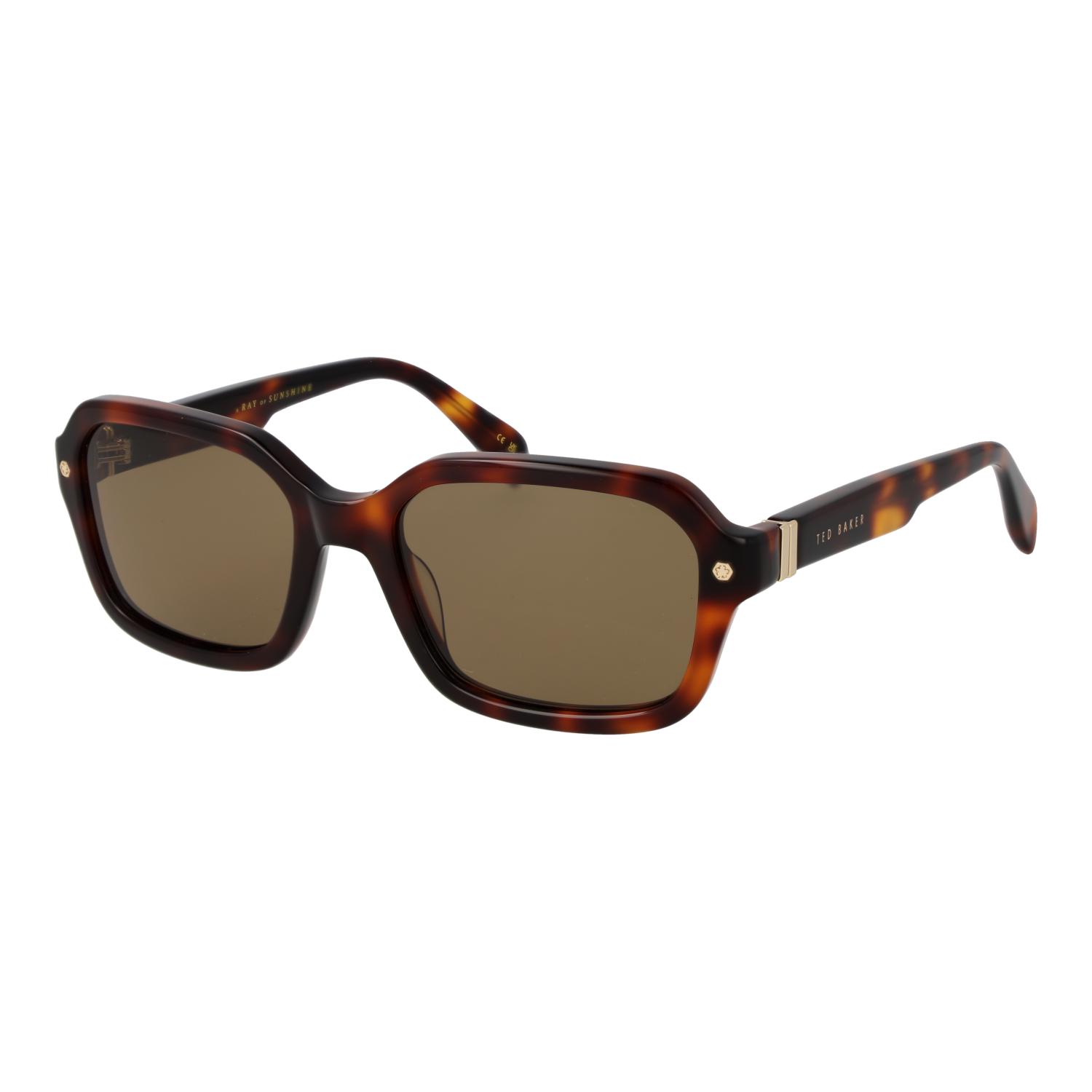 Ted Baker Sonnenbrille TB1697 101 55