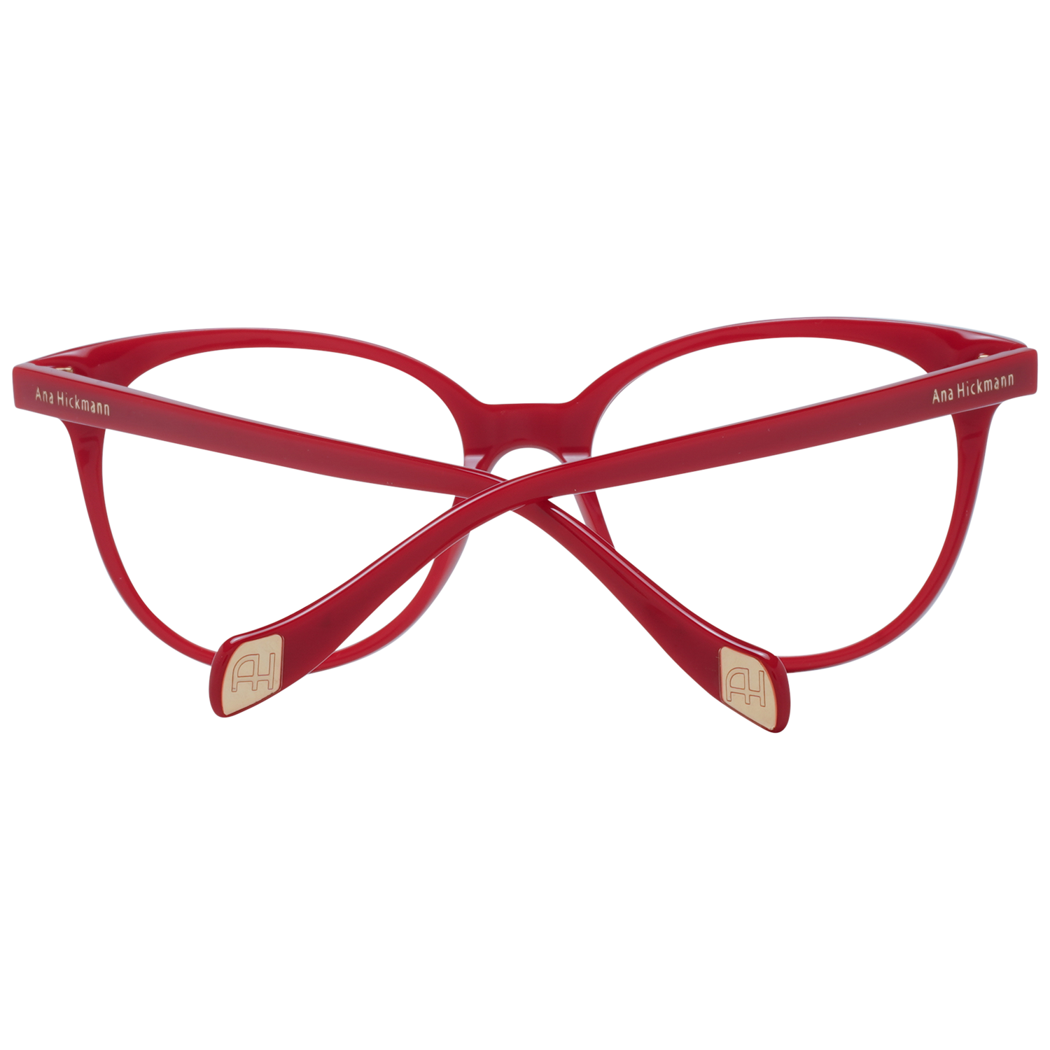 Ana Hickmann Brille AH6348 H03 51
