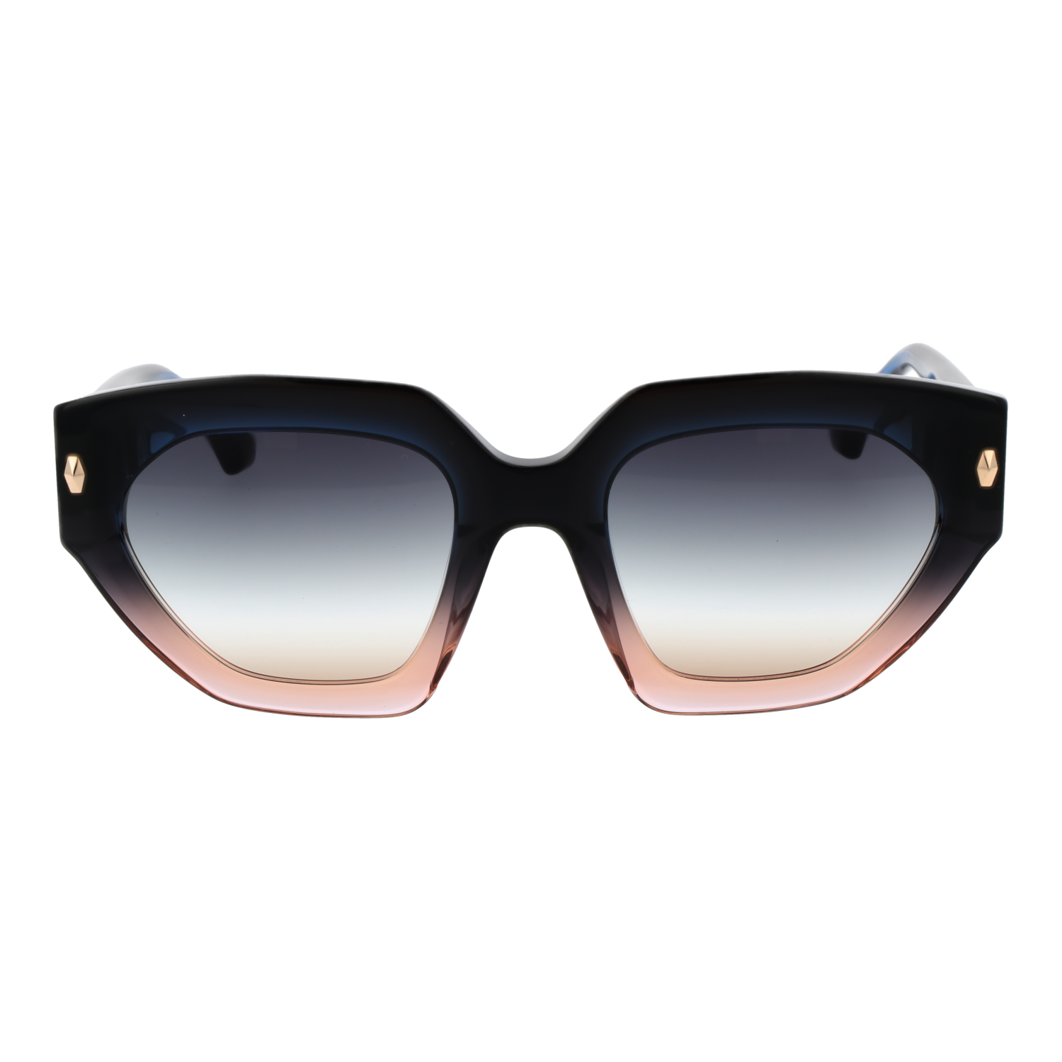 Ana Hickmann Sunglasses AH9376 C02 53