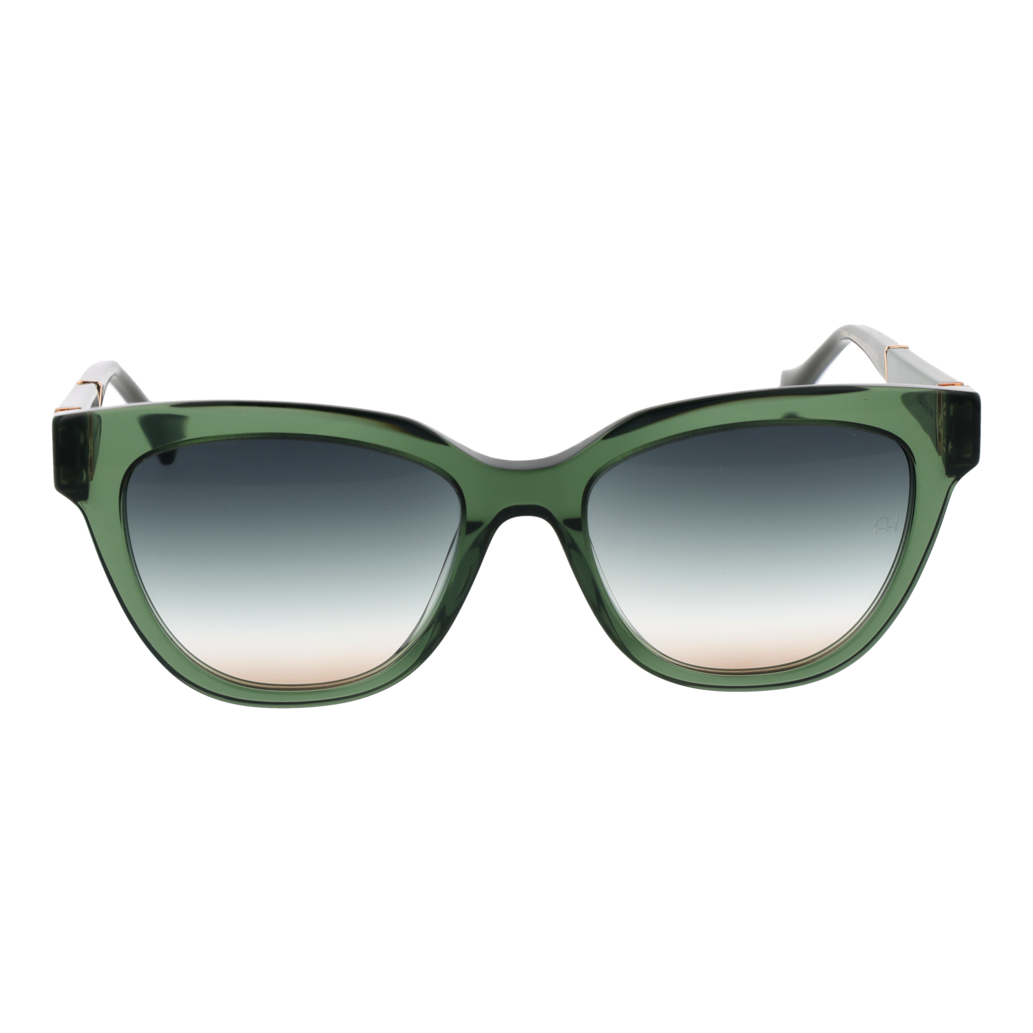 Ana Hickmann Sunglasses AH9356 T01 53