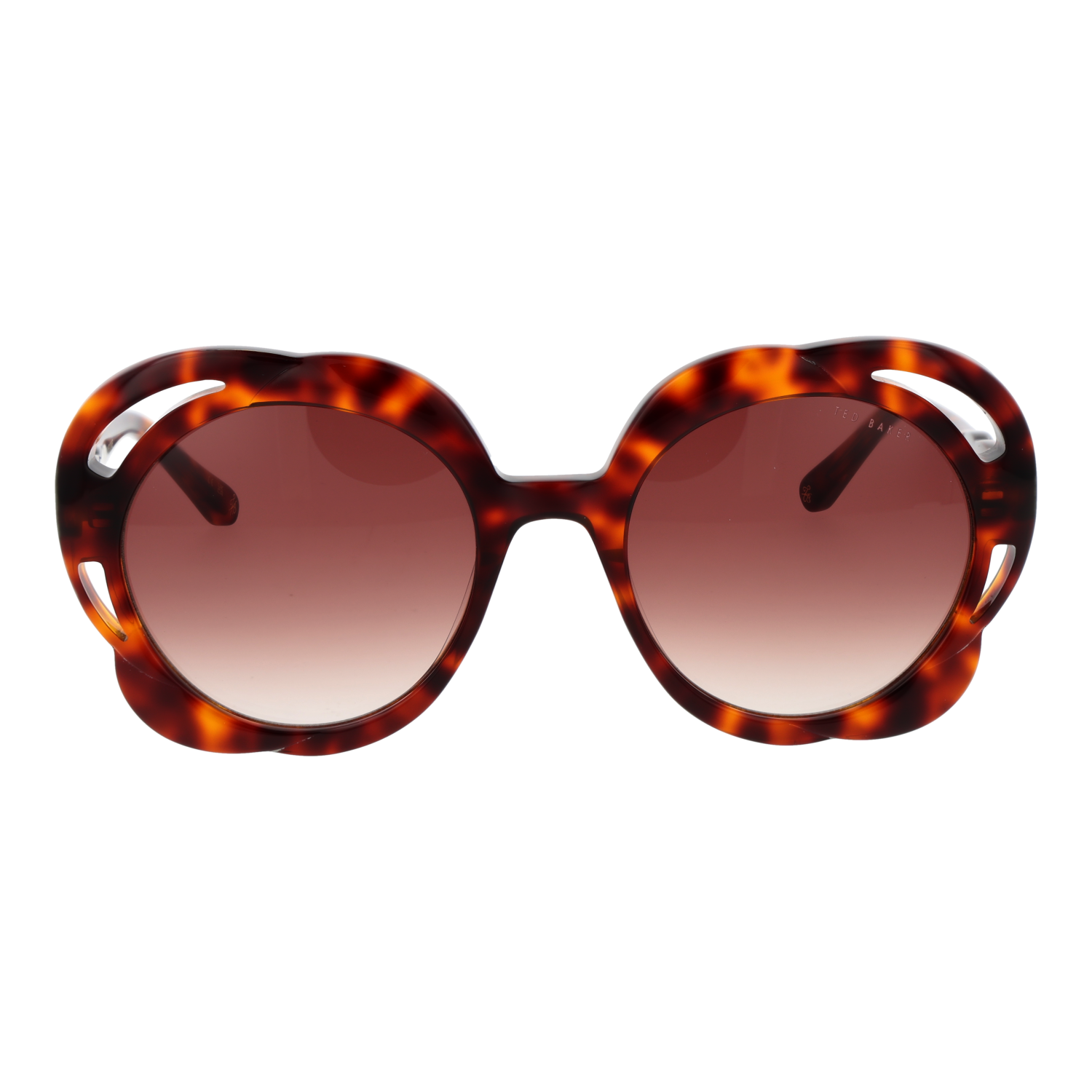 Ted Baker Sonnenbrille TB1772 100 53