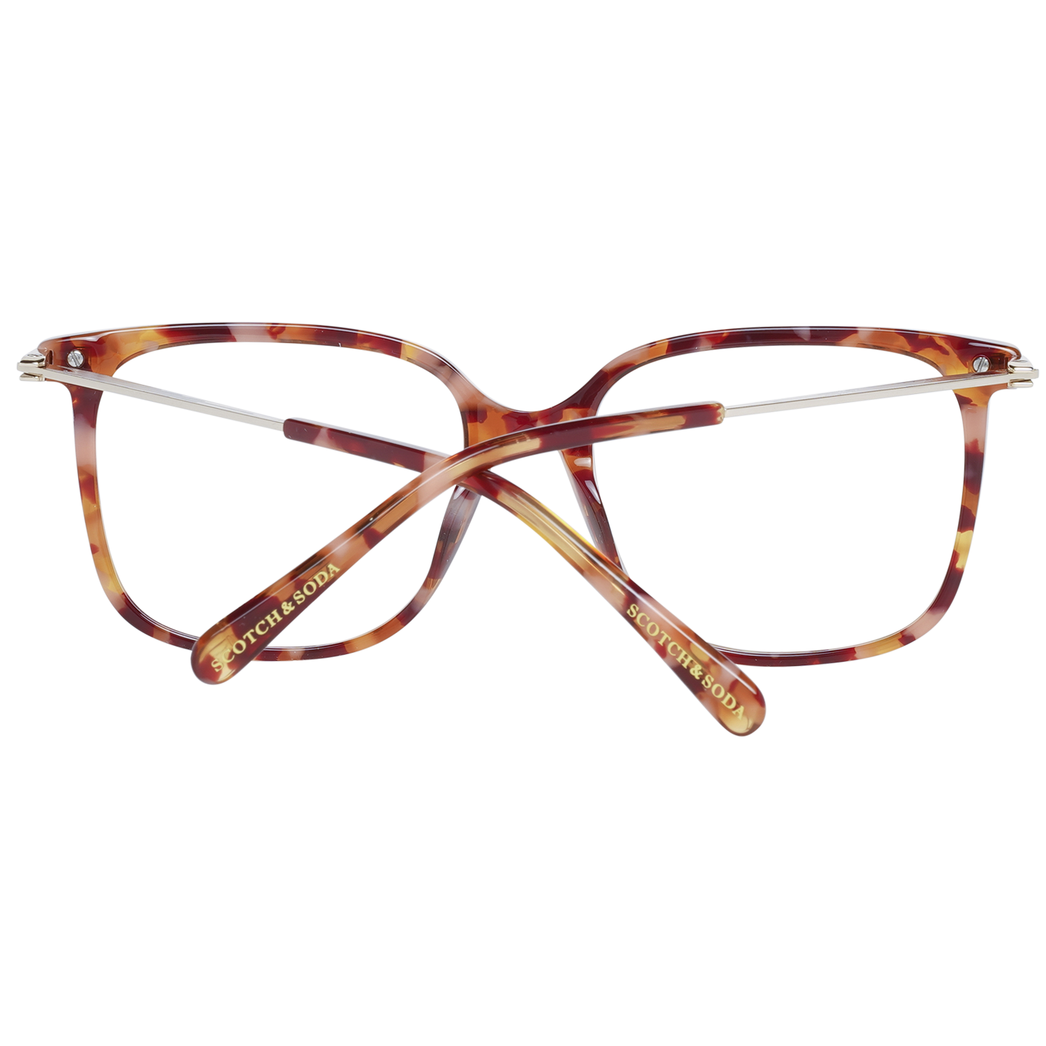 Scotch & Soda Brille SS3012 371 54