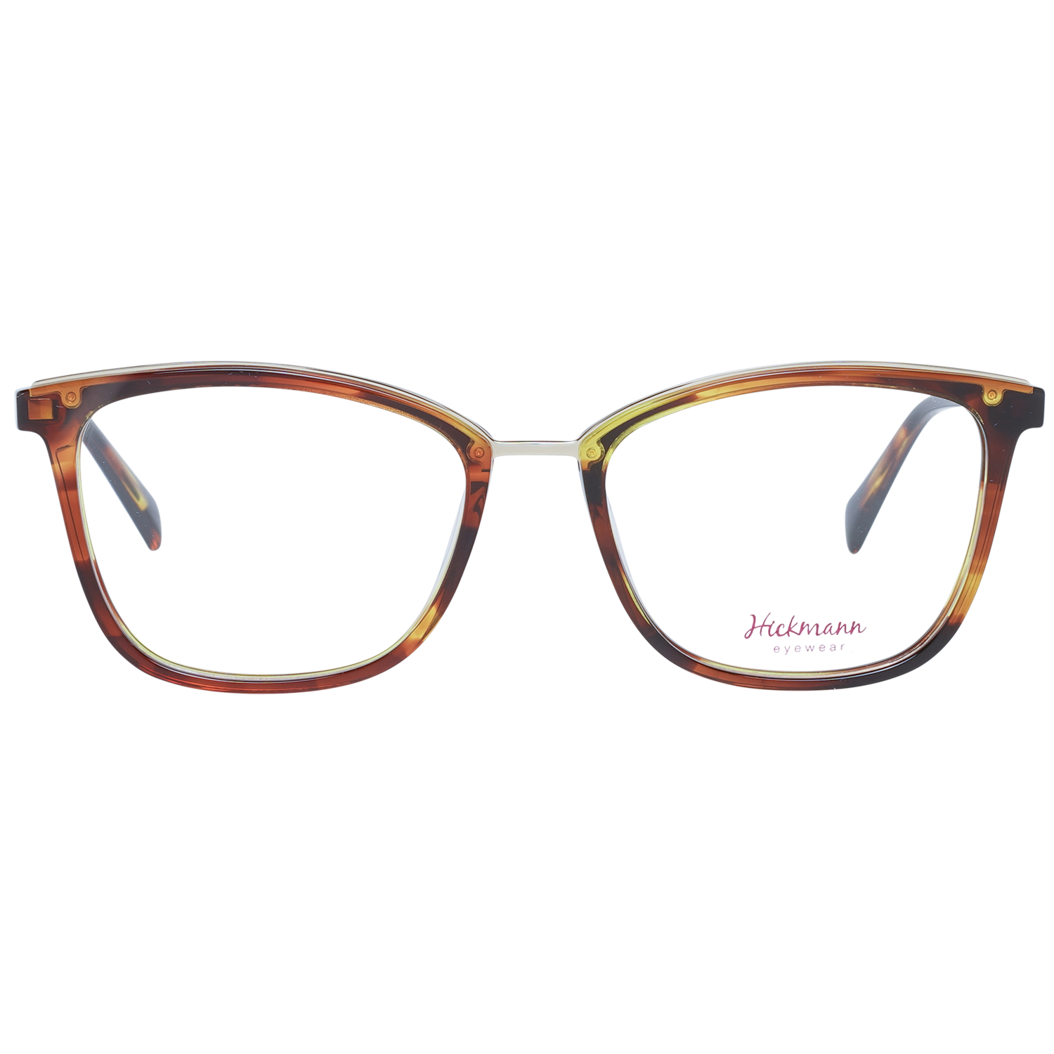 Ana Hickmann Brille HI6134E E04 53