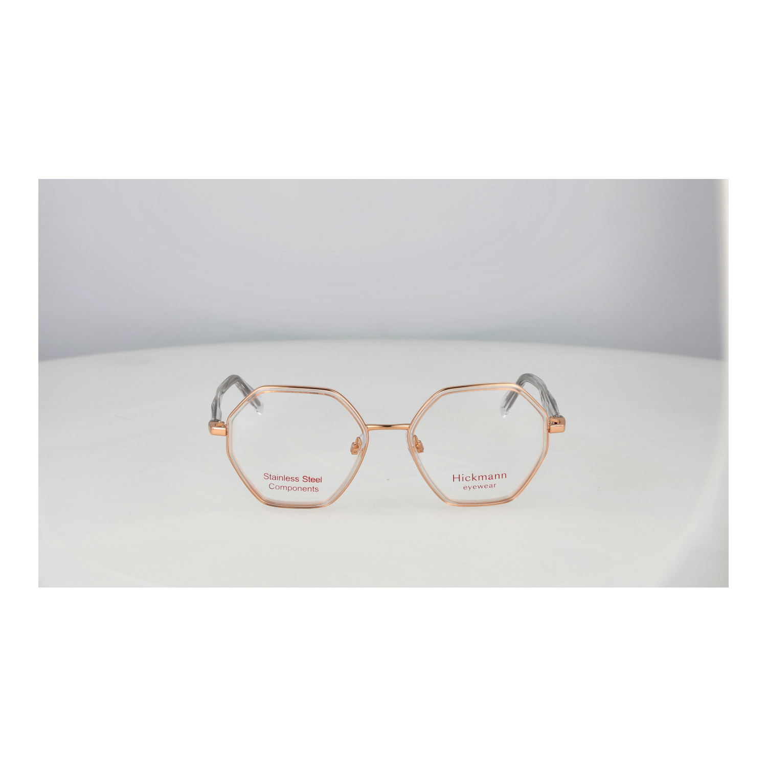 Ana Hickmann Optical Frame HIY1025 T01 50 Titanium
