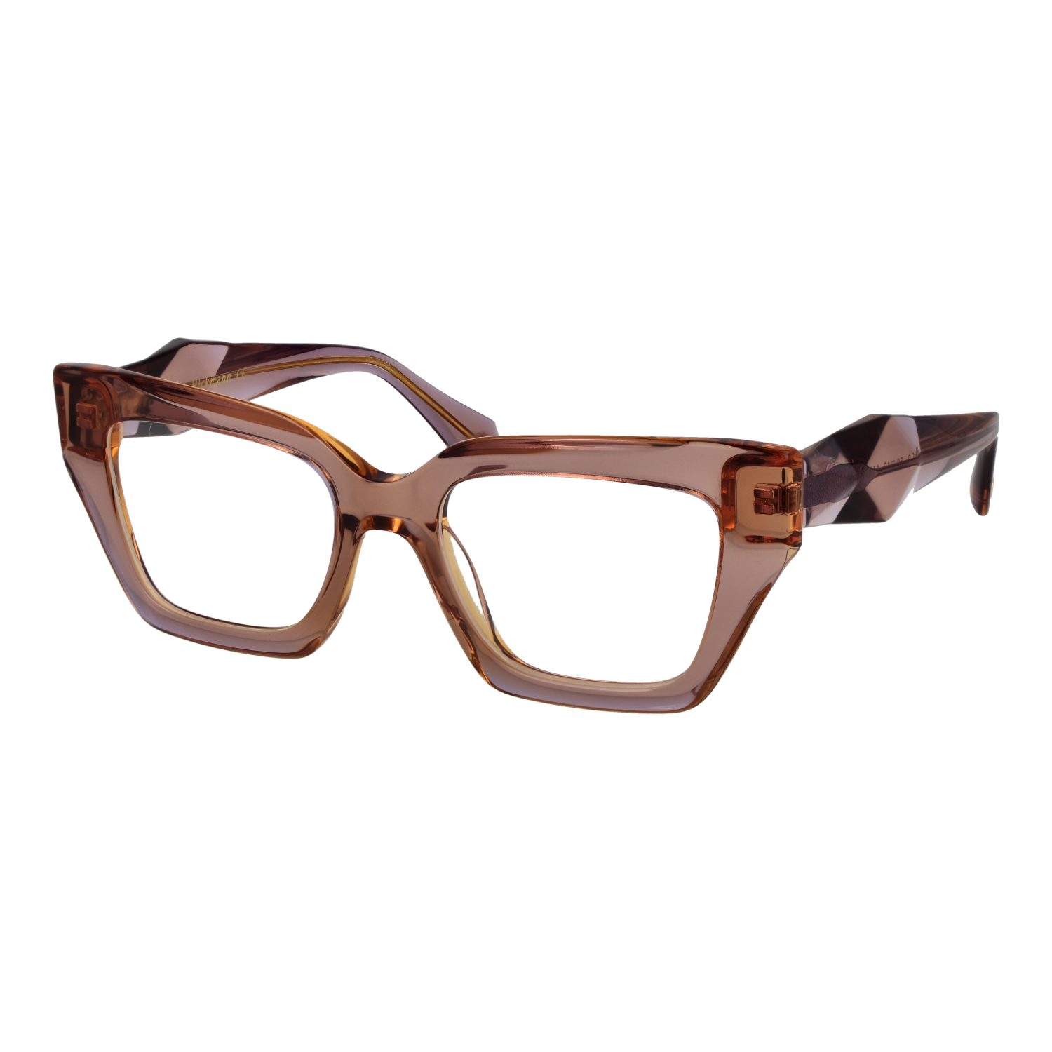 Ana Hickmann Optical Frame AH6524 H02 51