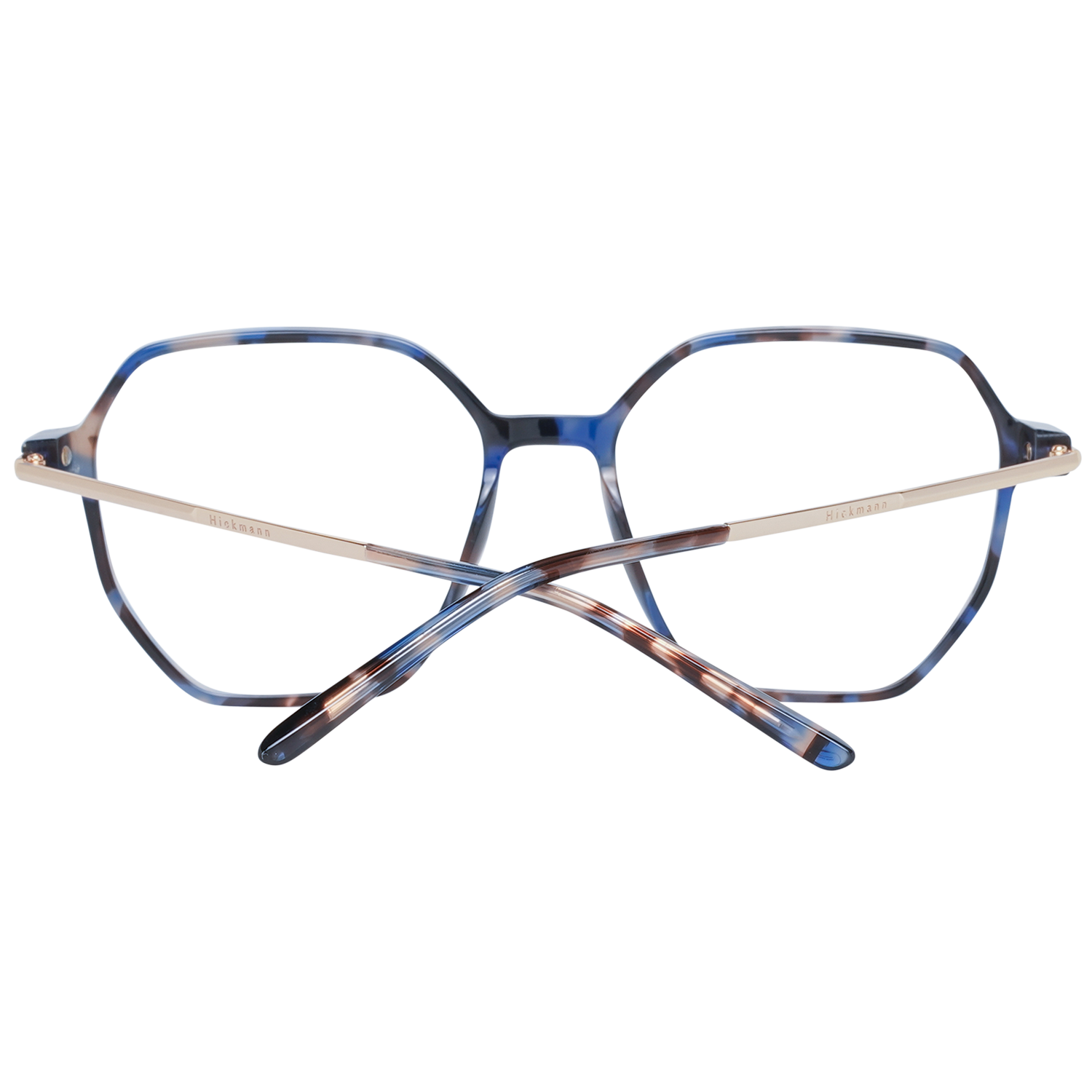 Ana Hickmann Brille HI6223 G21 53