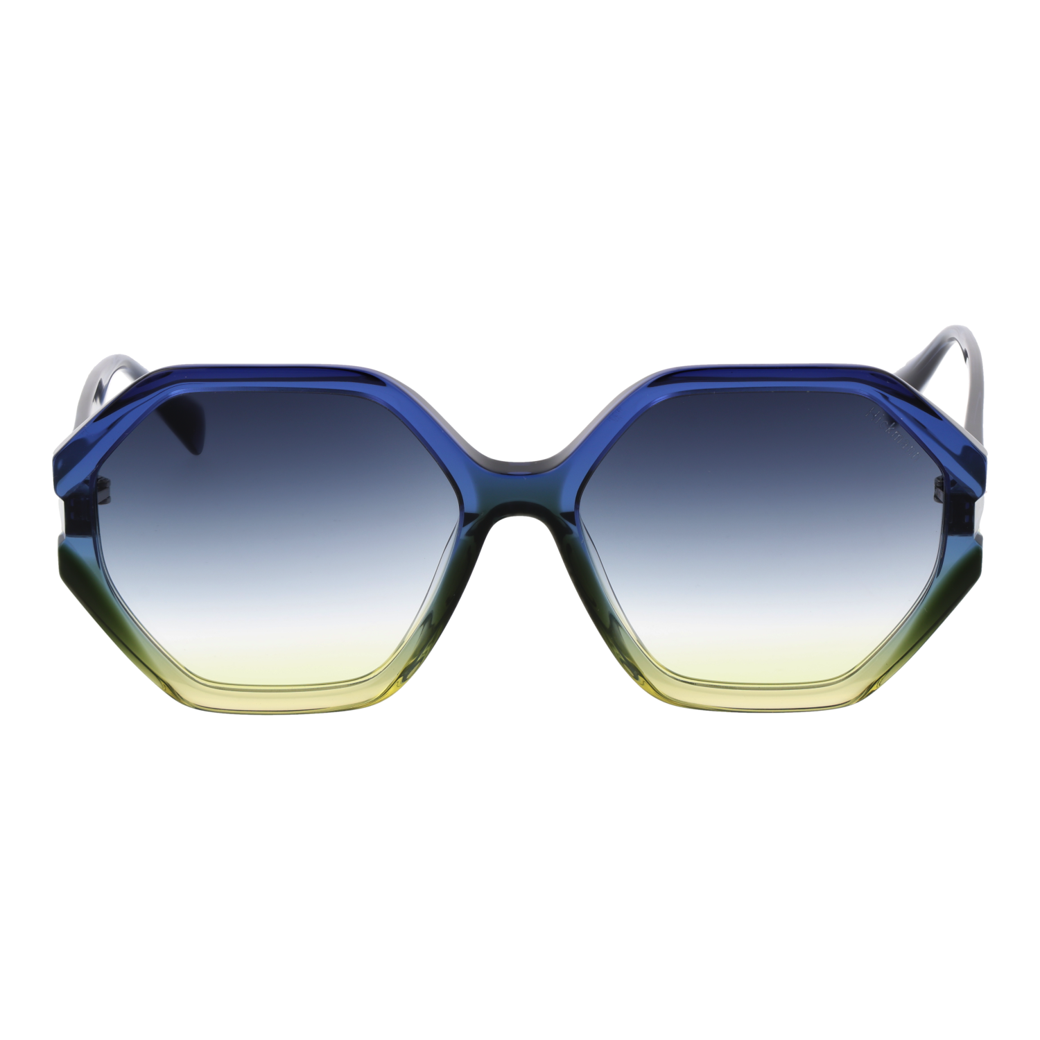 Ana Hickmann Sonnenbrille HI9186 C02 55