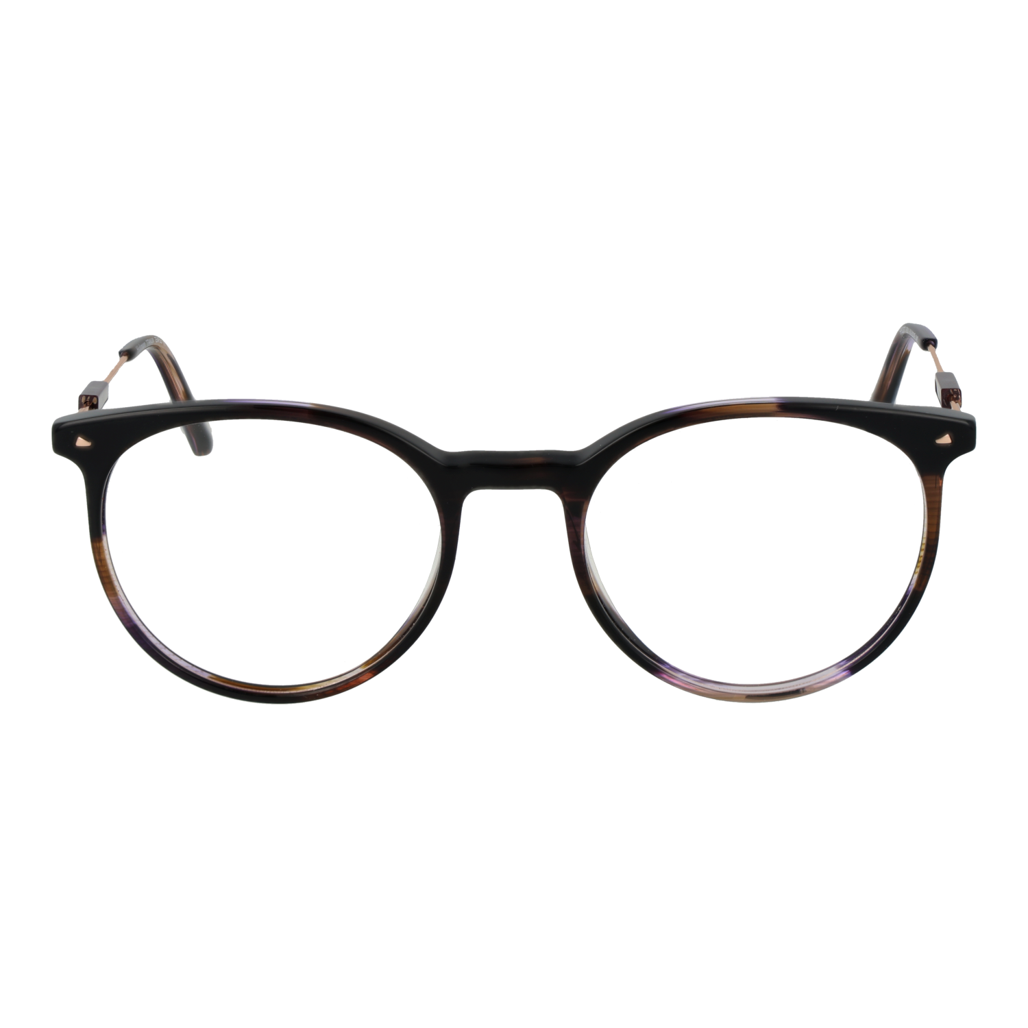 Ana Hickmann Brille HI6237T E01 51