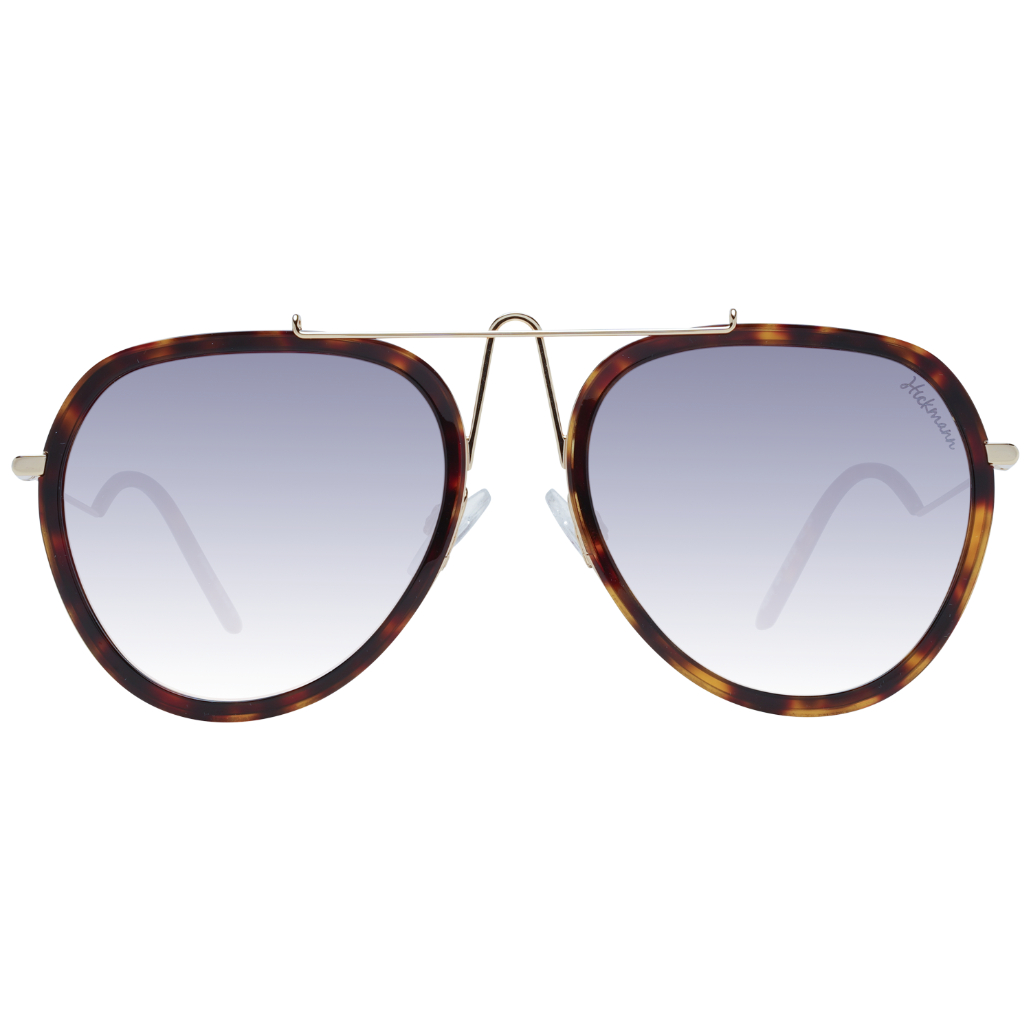 Ana Hickmann Sunglasses HI3070 G21 58