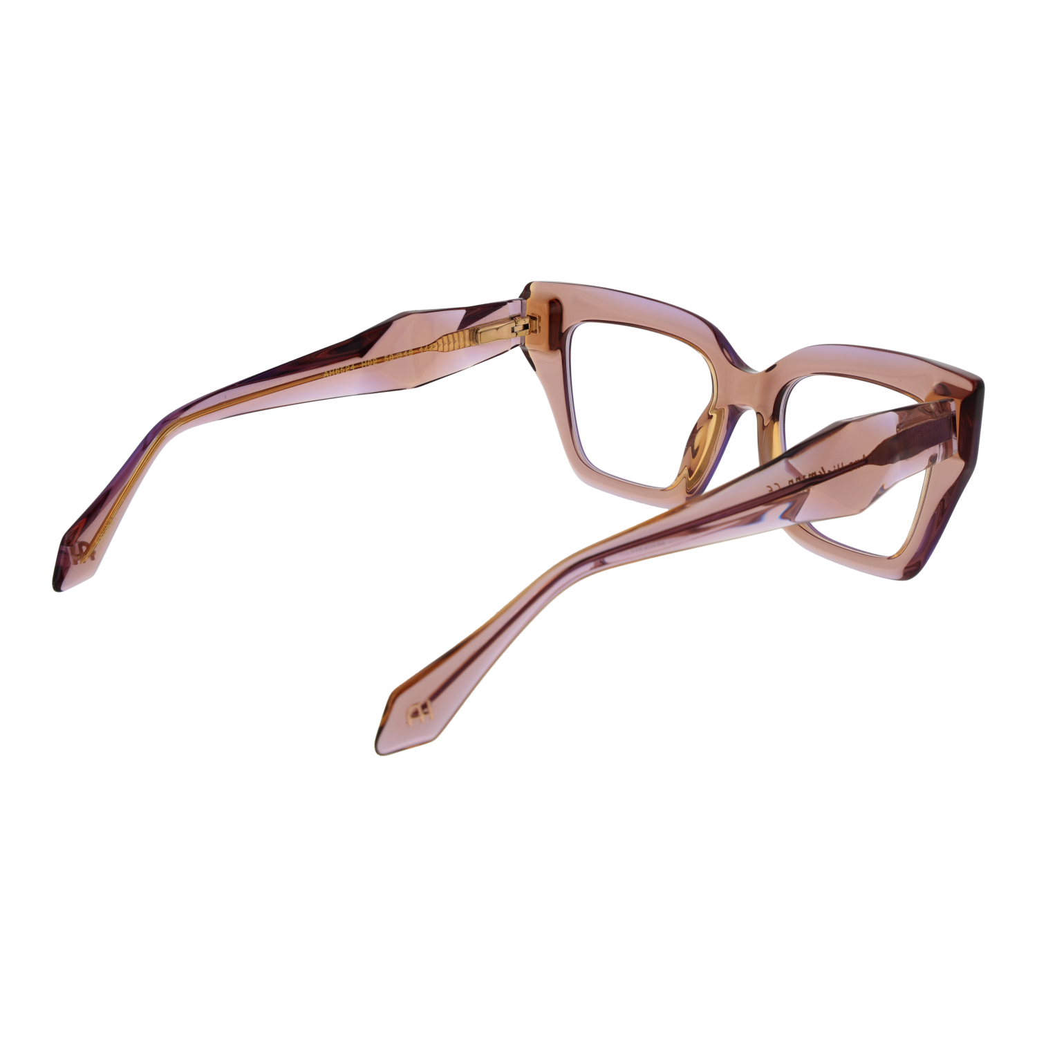 Ana Hickmann Optical Frame AH6524 H02 51