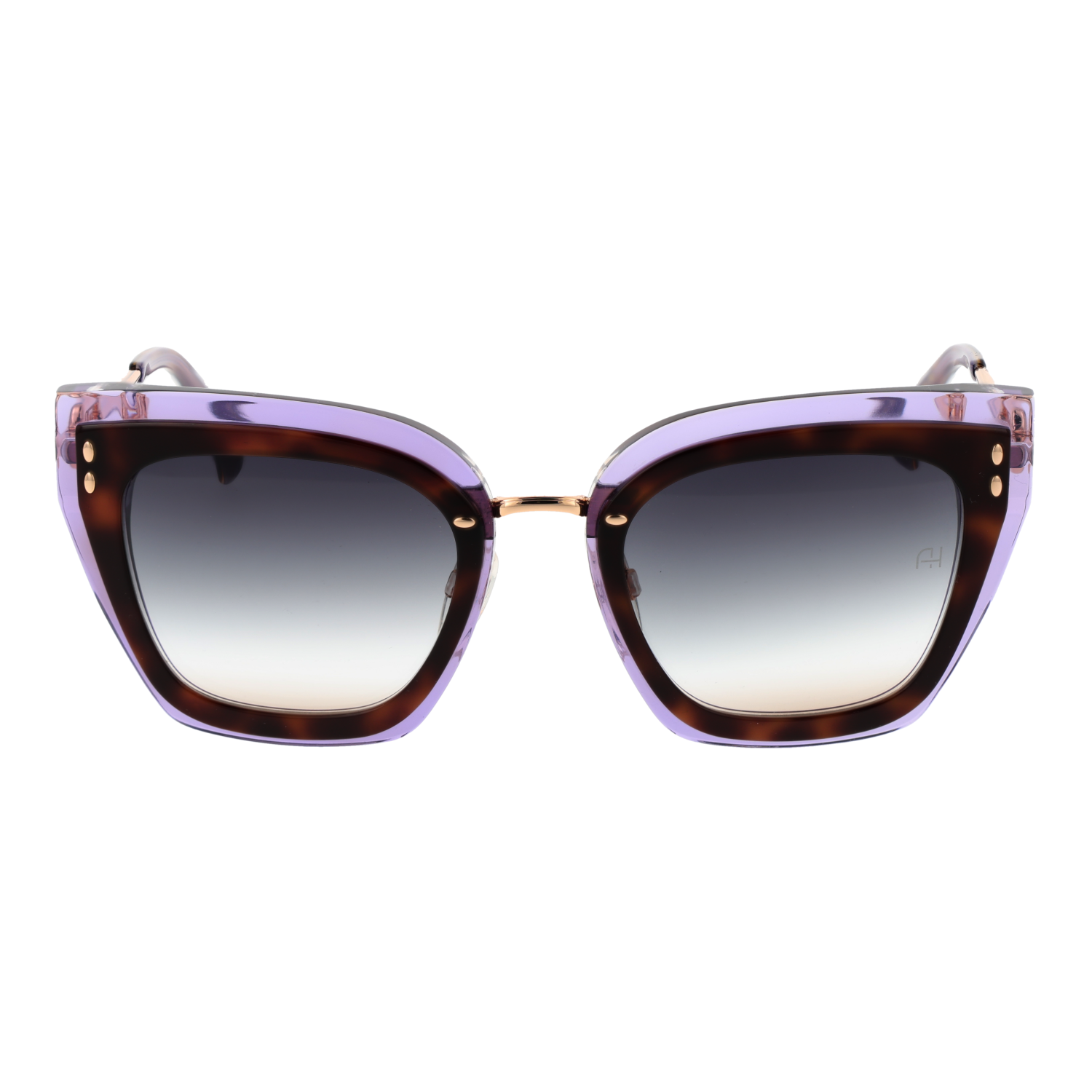 Ana Hickmann Sunglasses AH9405 G21 52