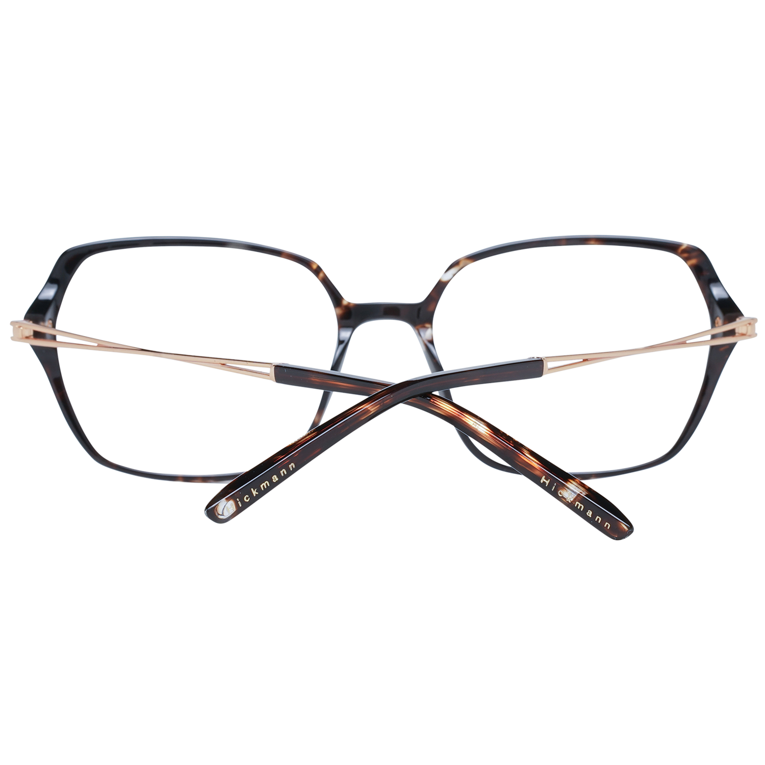 Ana Hickmann Brille HI6177 G21 52