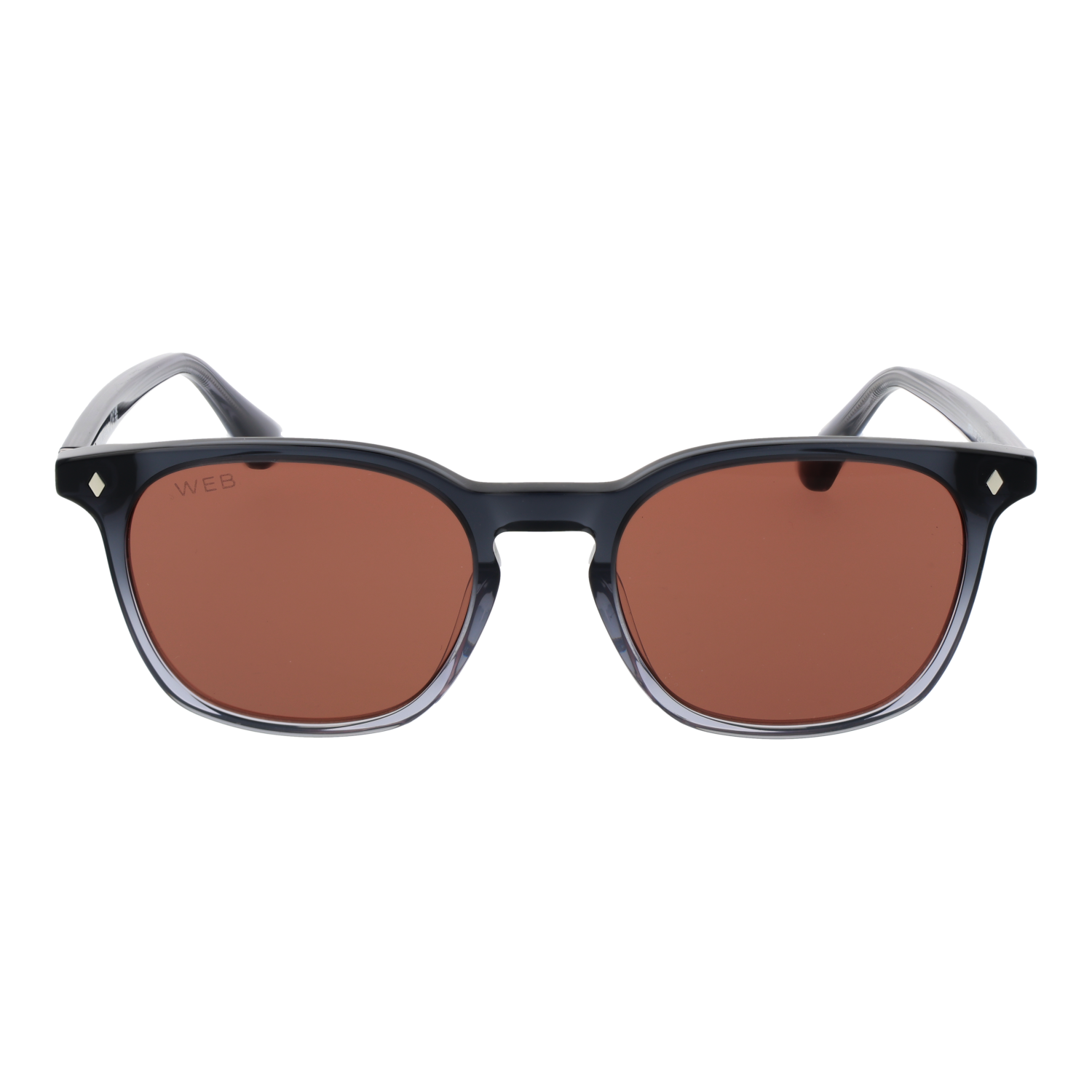 Web Sonnenbrille WE0364 20S 52