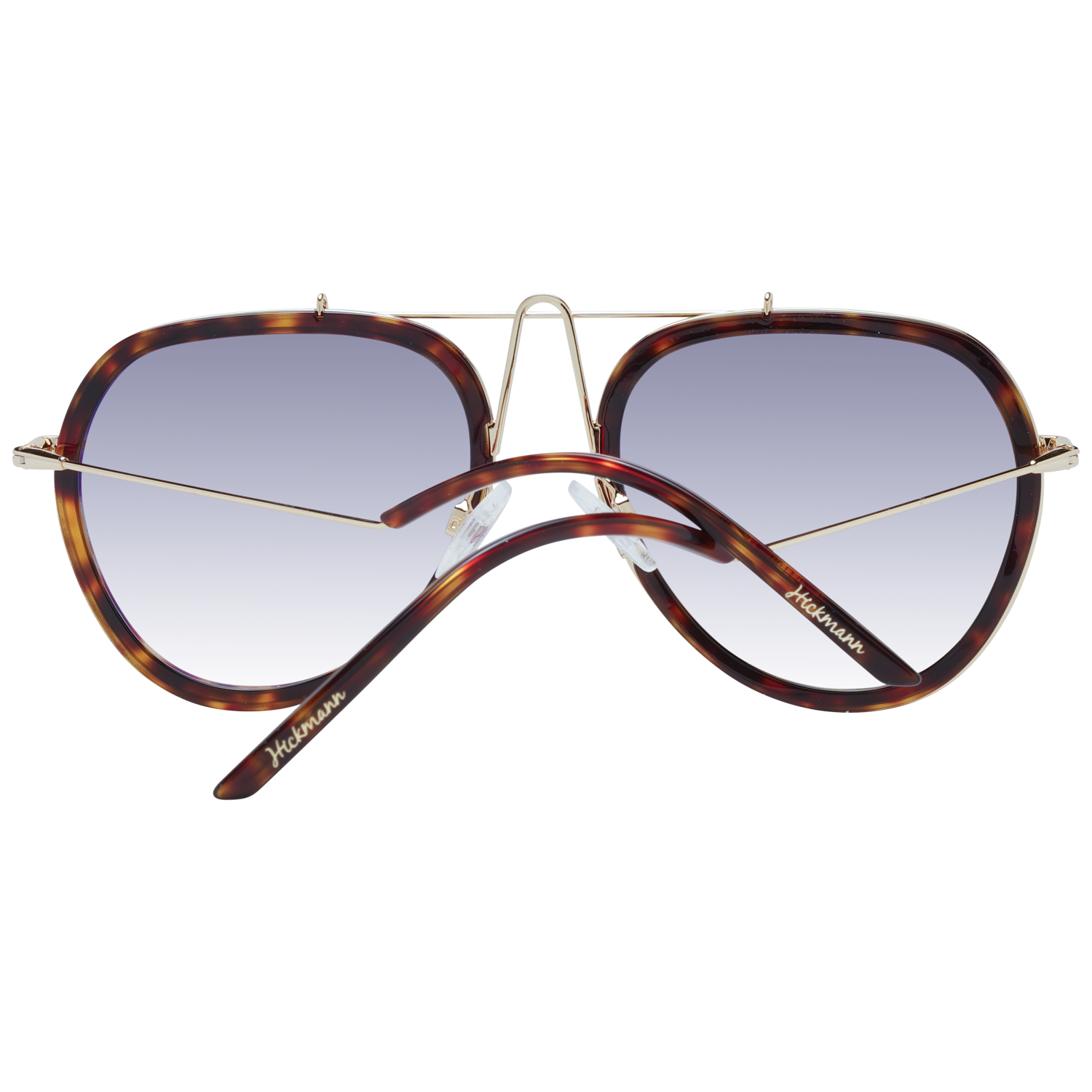 Ana Hickmann Sunglasses HI3070 G21 58