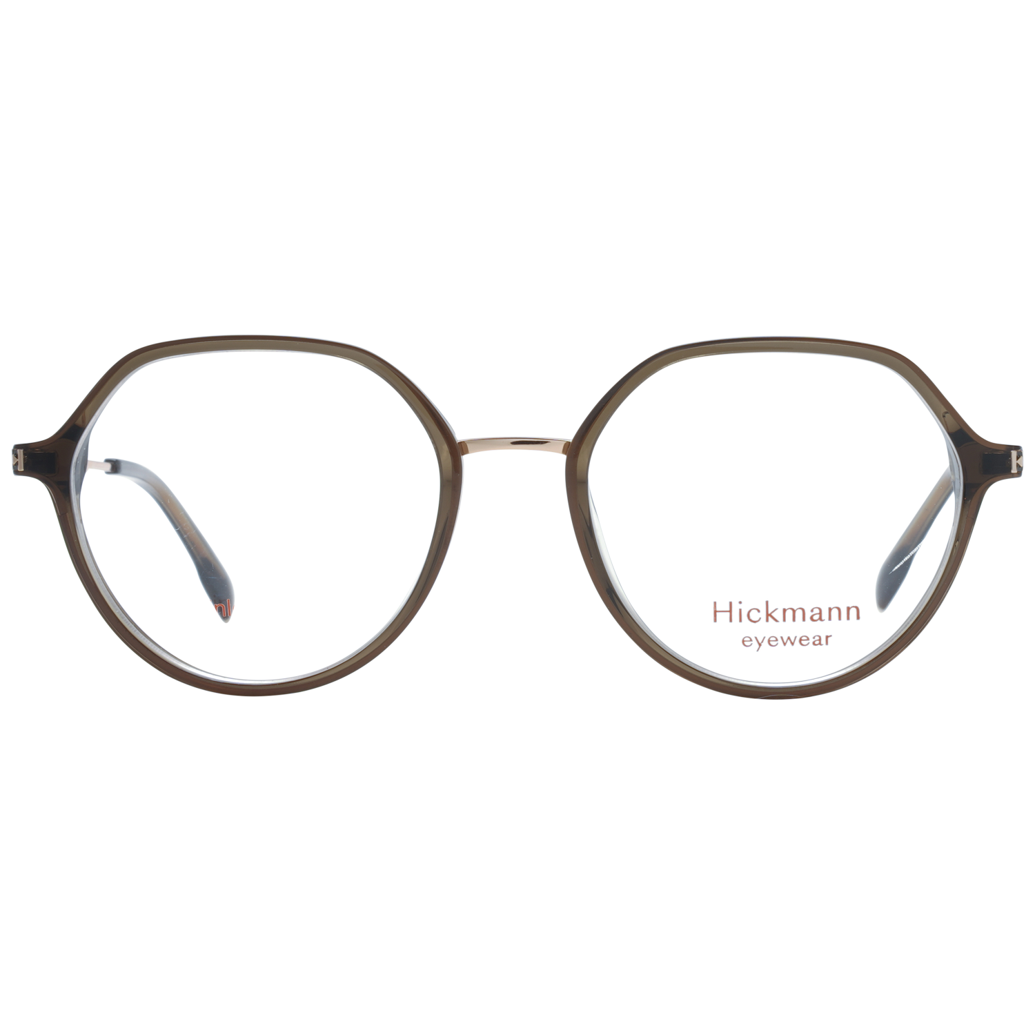 Ana Hickmann Brille HI6255 T02 52