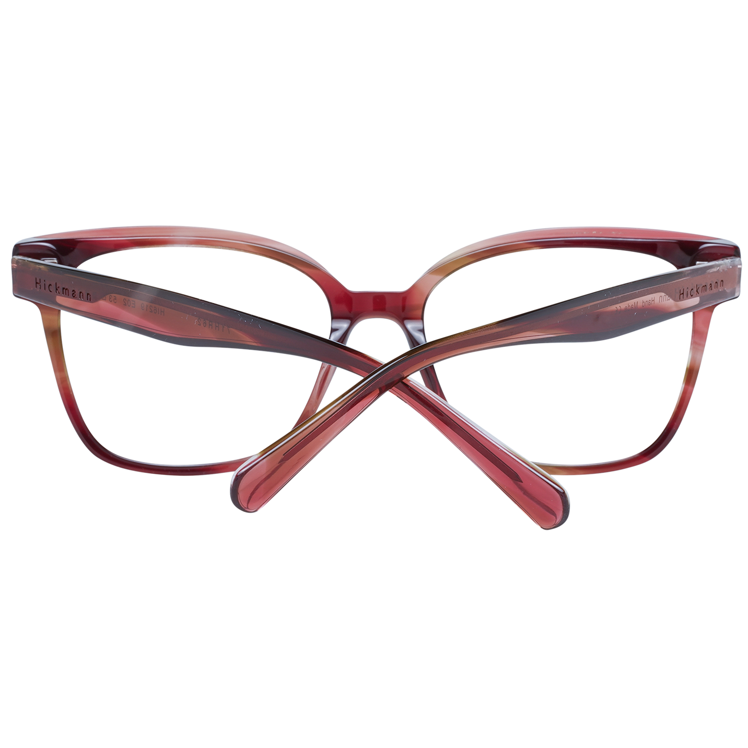 Ana Hickmann Brille HI6219 E02 53