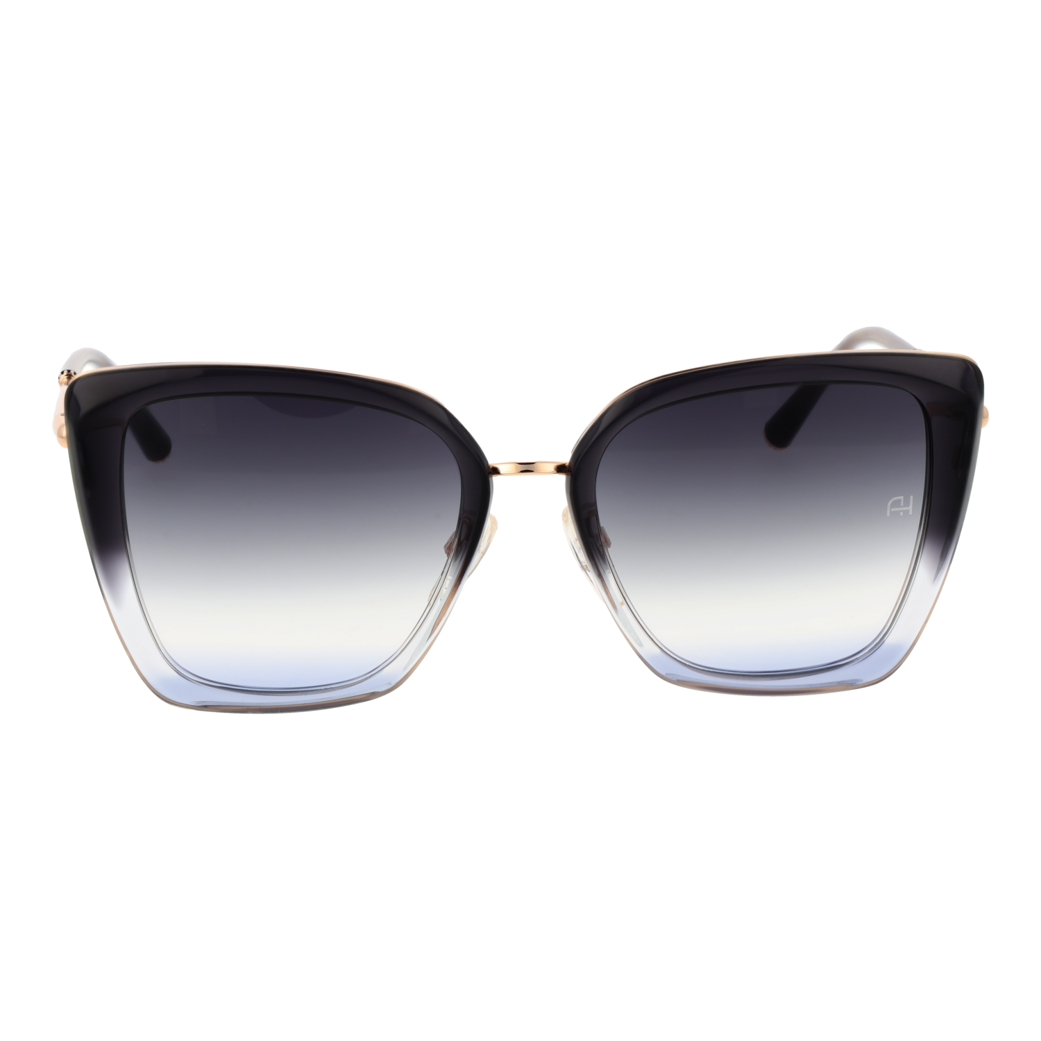 Ana Hickmann Sonnenbrille AH3291 C01 53