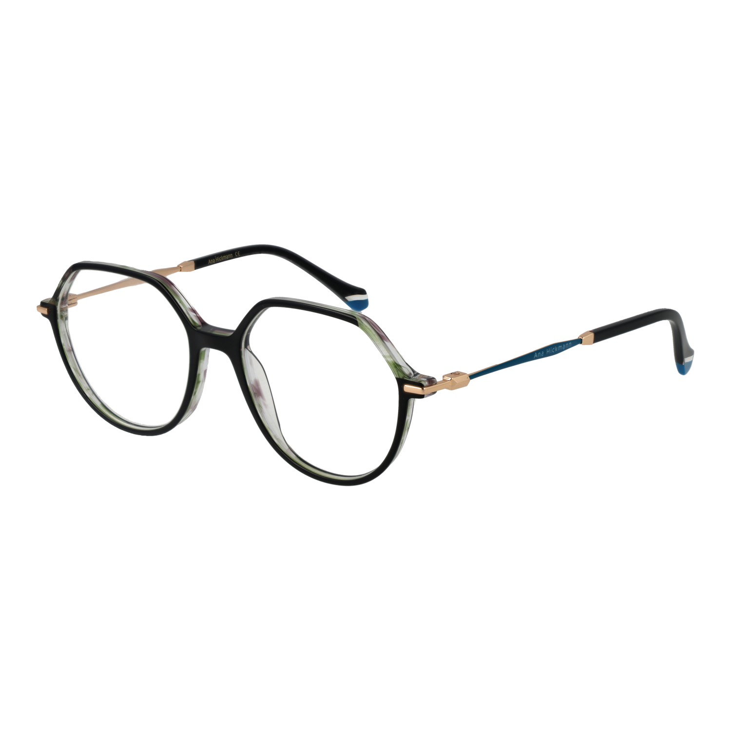 Ana Hickmann Optical Frame AH6480 H01 52