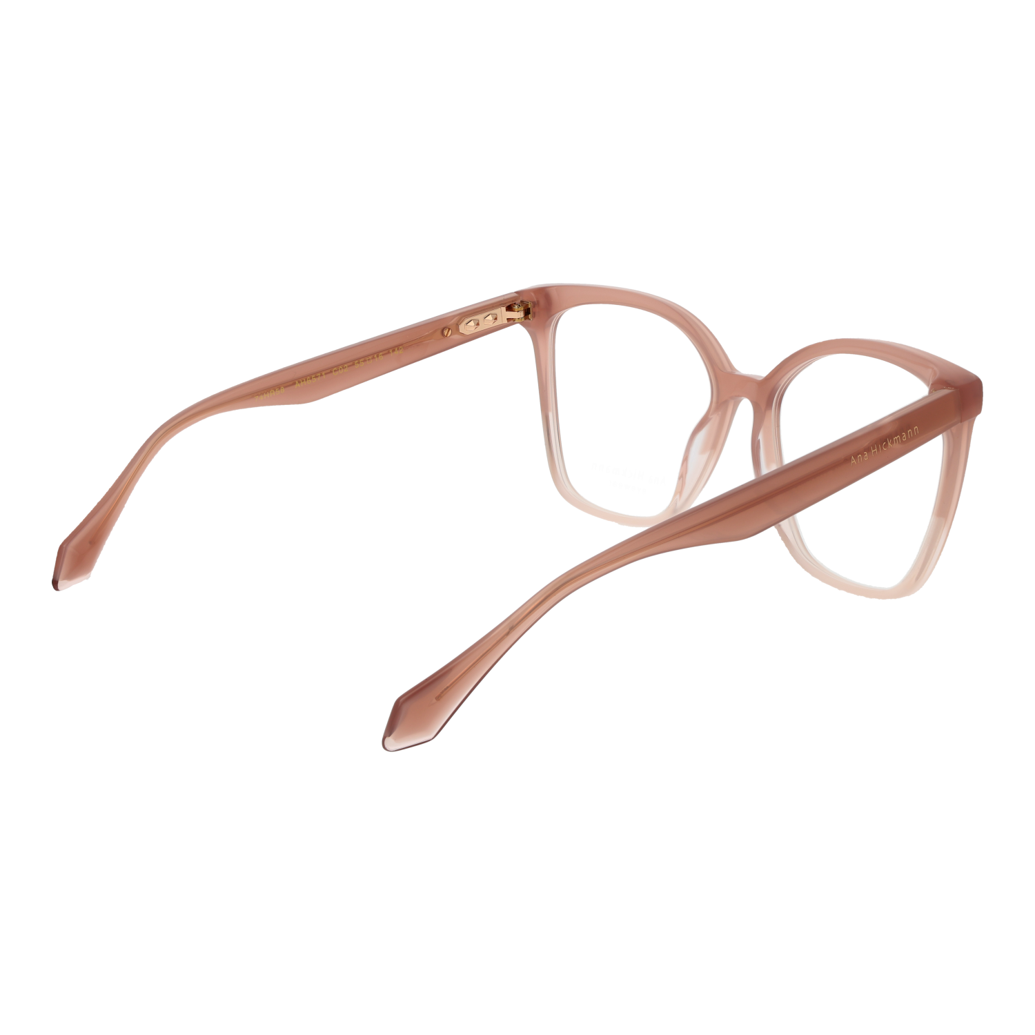 Ana Hickmann Optical Frame AH6571 C02 55