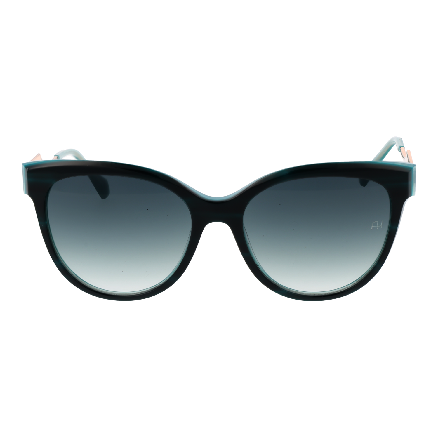 Ana Hickmann Sunglasses AH9382 E01 55