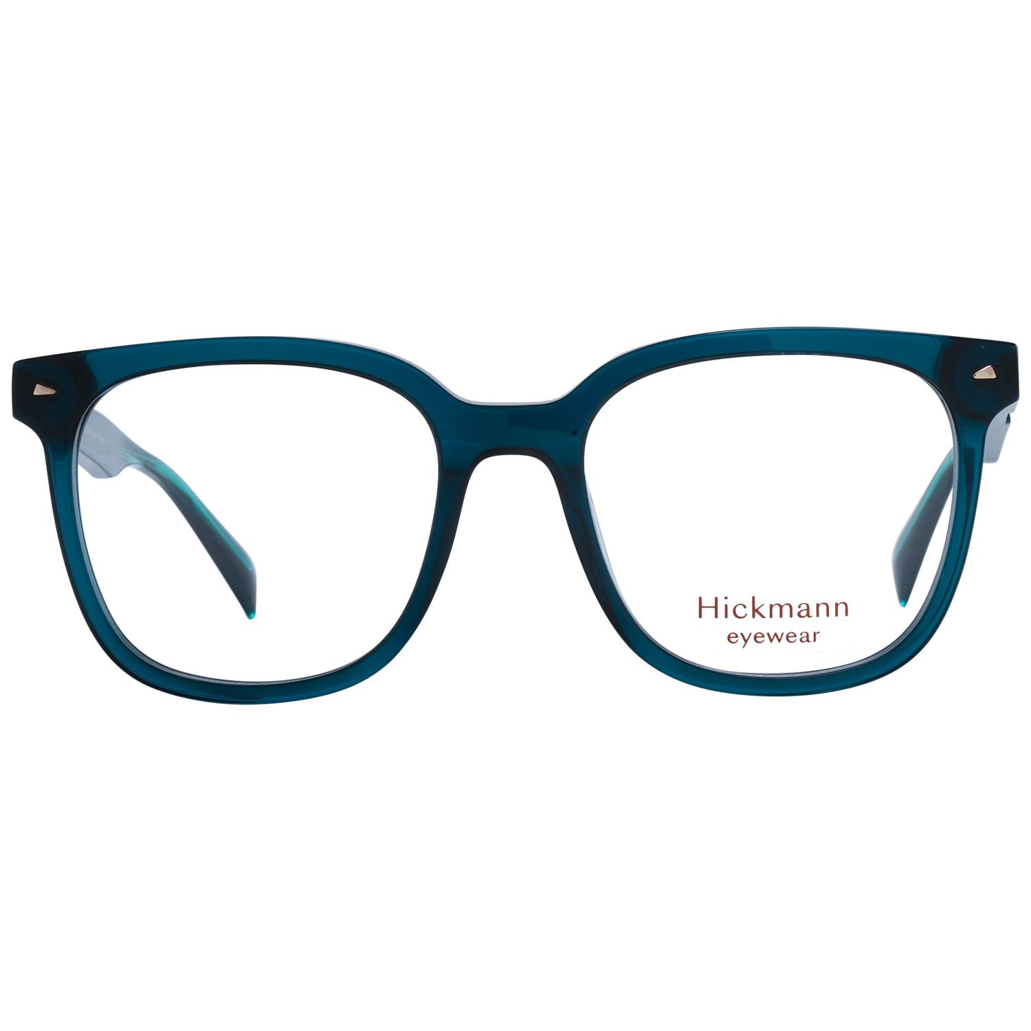 Ana Hickmann Brille HI6253 T01 51