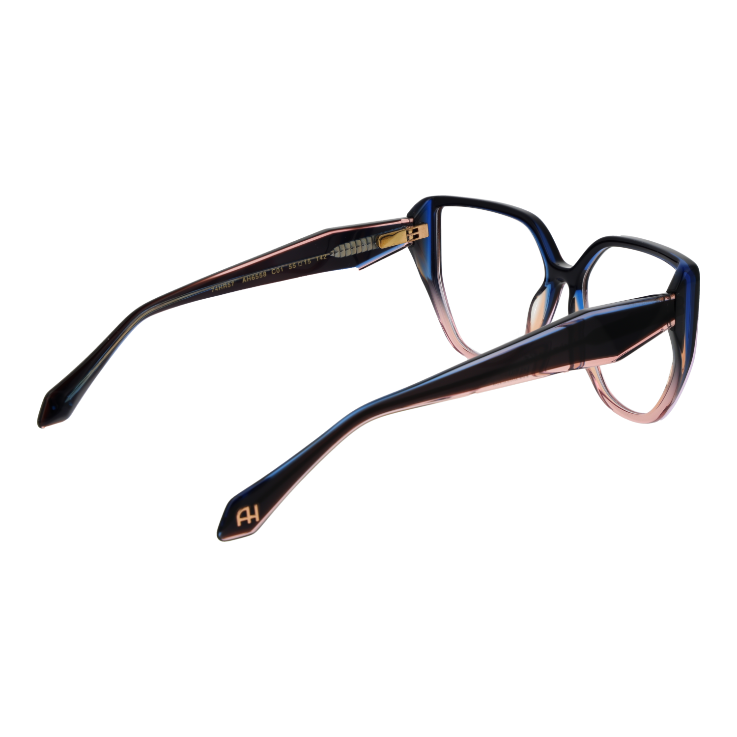 Ana Hickmann Brillenfassung AH6558 C01 55