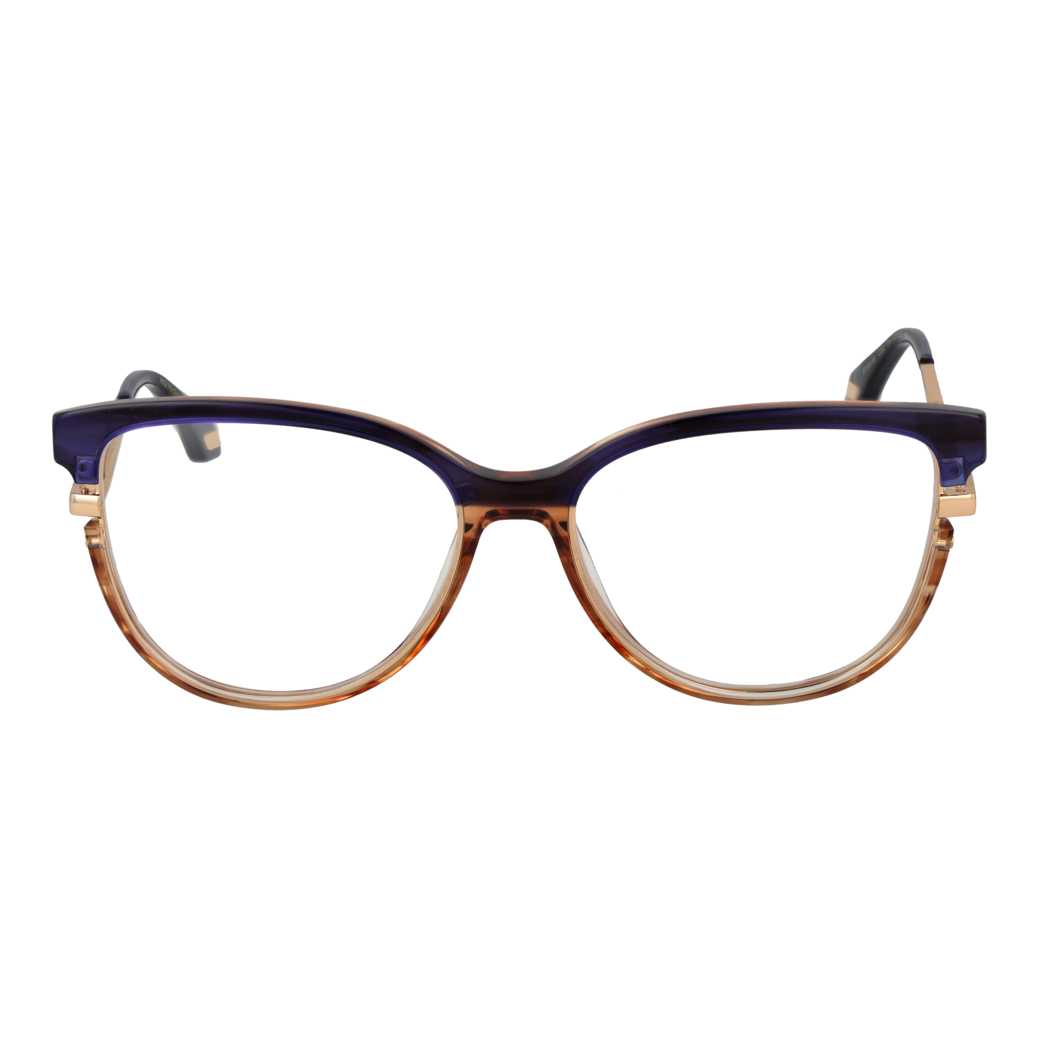 Ana Hickmann Brillenfassung AH6446 C02 54
