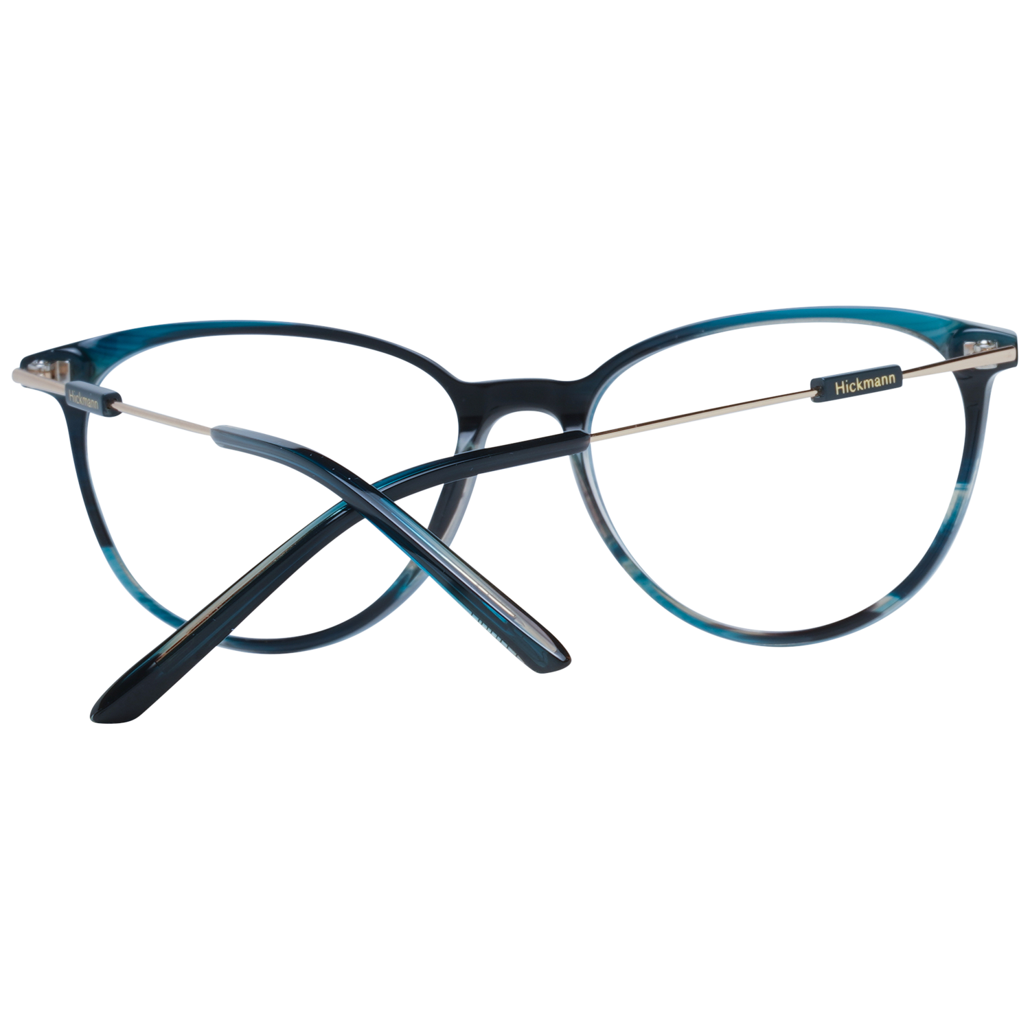 Ana Hickmann Brille HI6238T E01 52