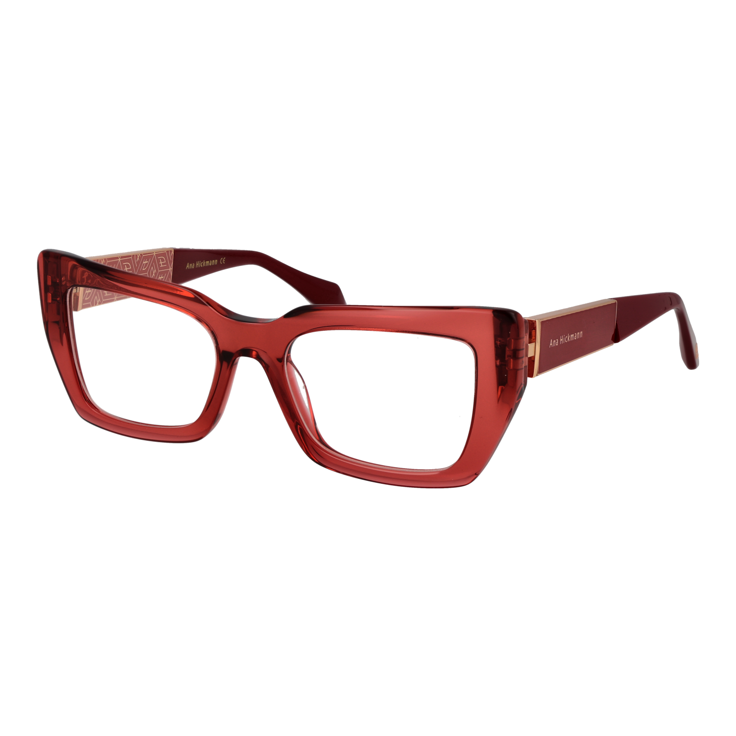 Ana Hickmann Optical Frame AH6541 T02 52