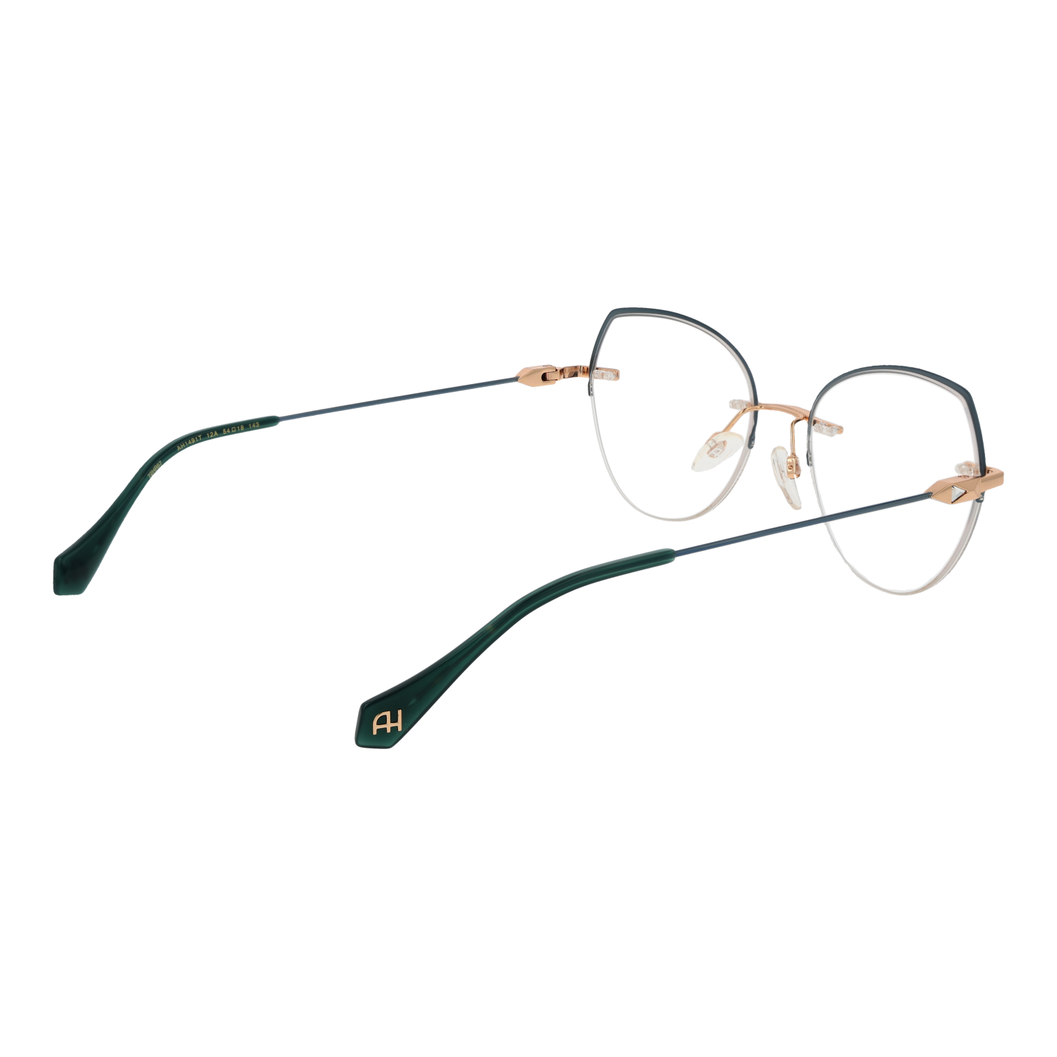 Ana Hickmann Optical Frame AH1491T 12A 54