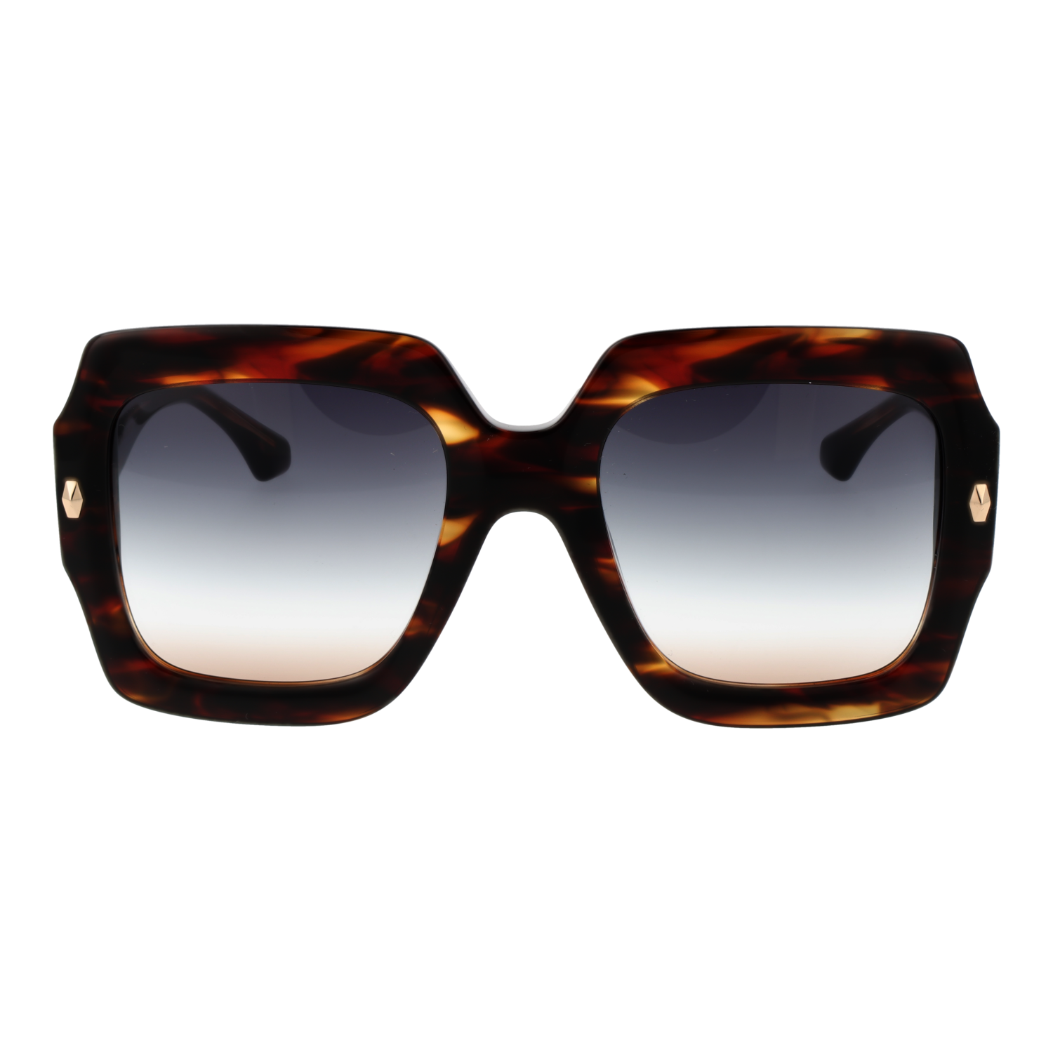 Ana Hickmann Sunglasses AH9377 E02 54