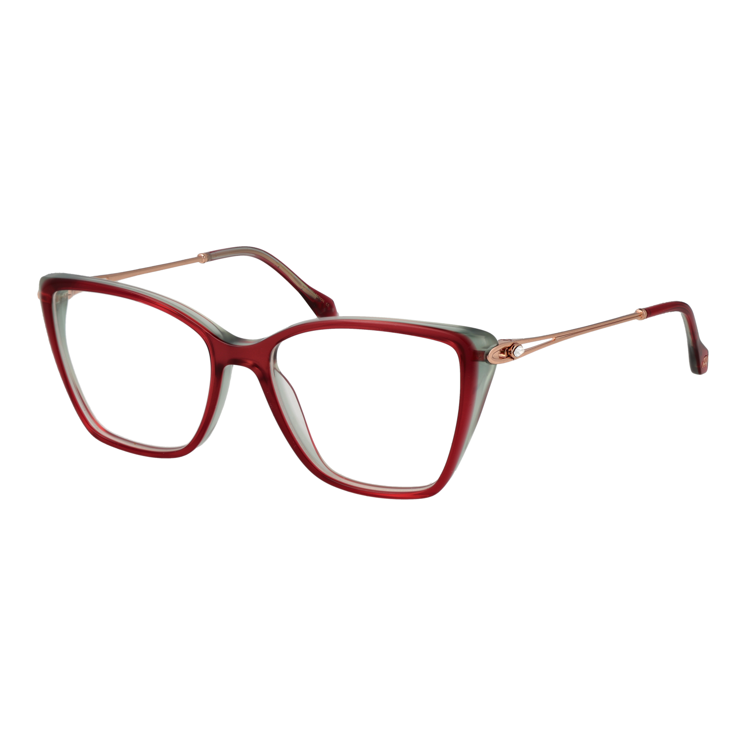Ana Hickmann Optical Frame AH6501T H04 53