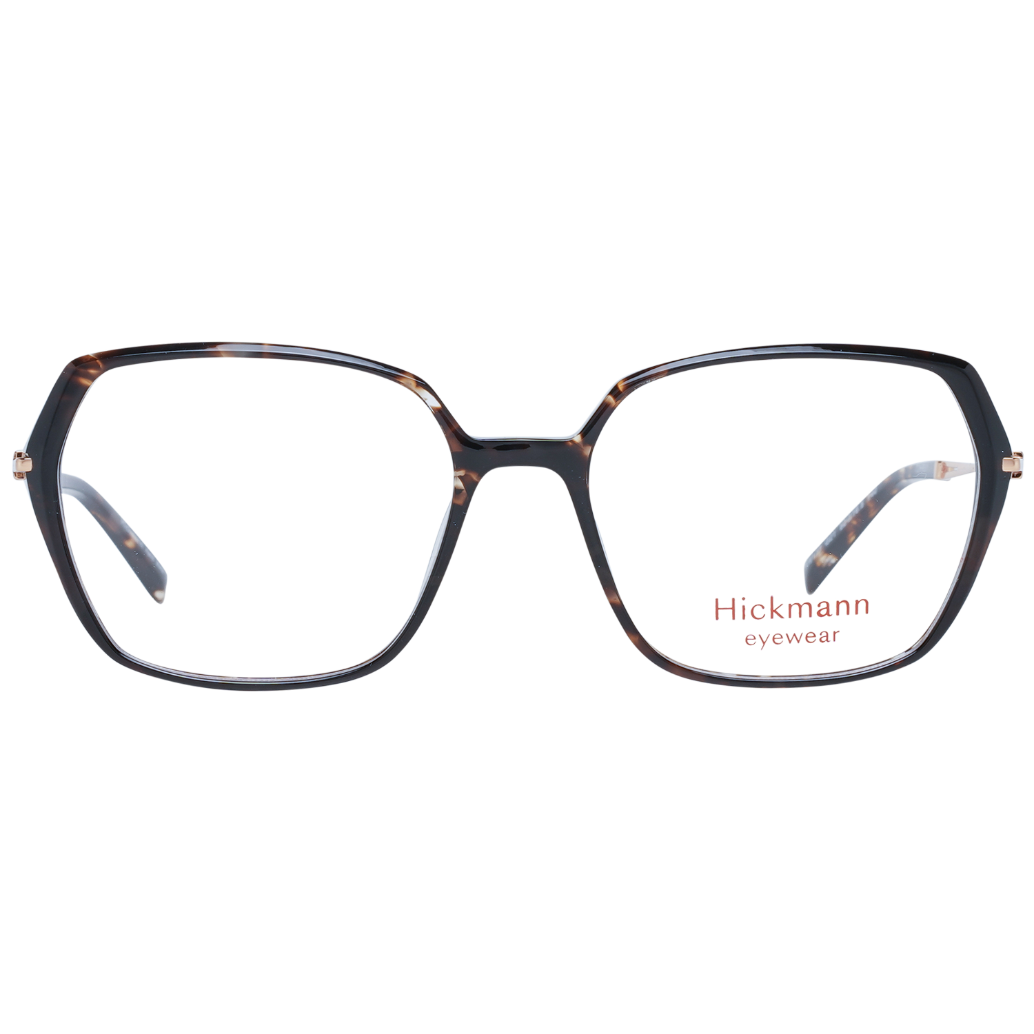 Ana Hickmann Optical Frame HI6177 G21 52