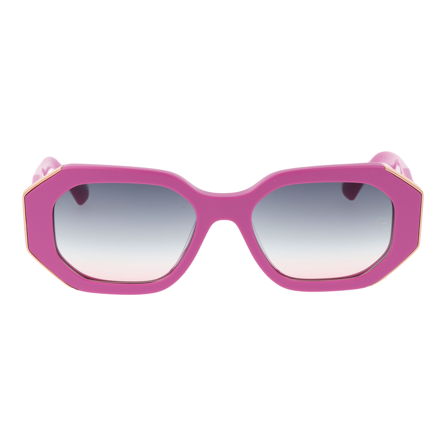 Ana Hickmann Sonnenbrille AH9465 D02 53