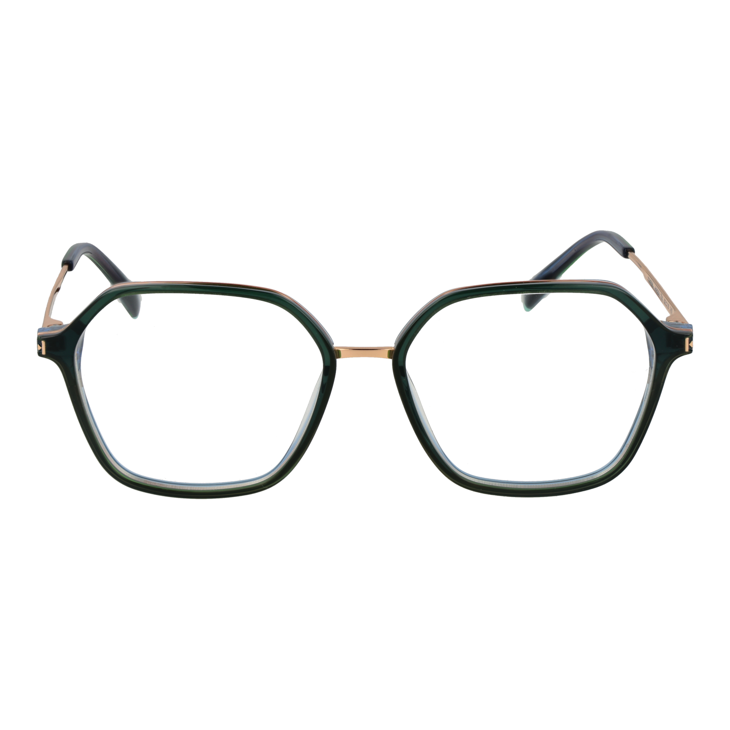 Ana Hickmann Optical Frame HI6254 T01 52