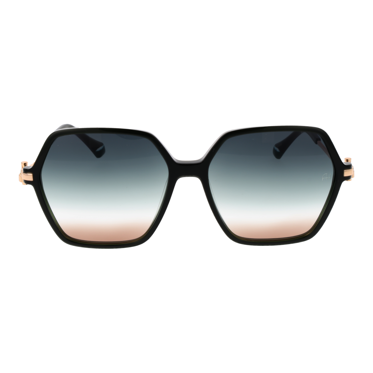 Ana Hickmann Sunglasses AH9349 T01 58