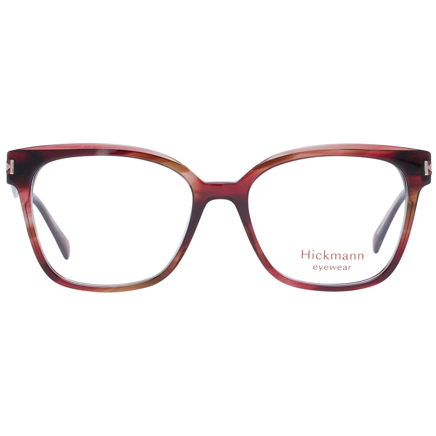 Ana Hickmann Brille HI6219 E02 53