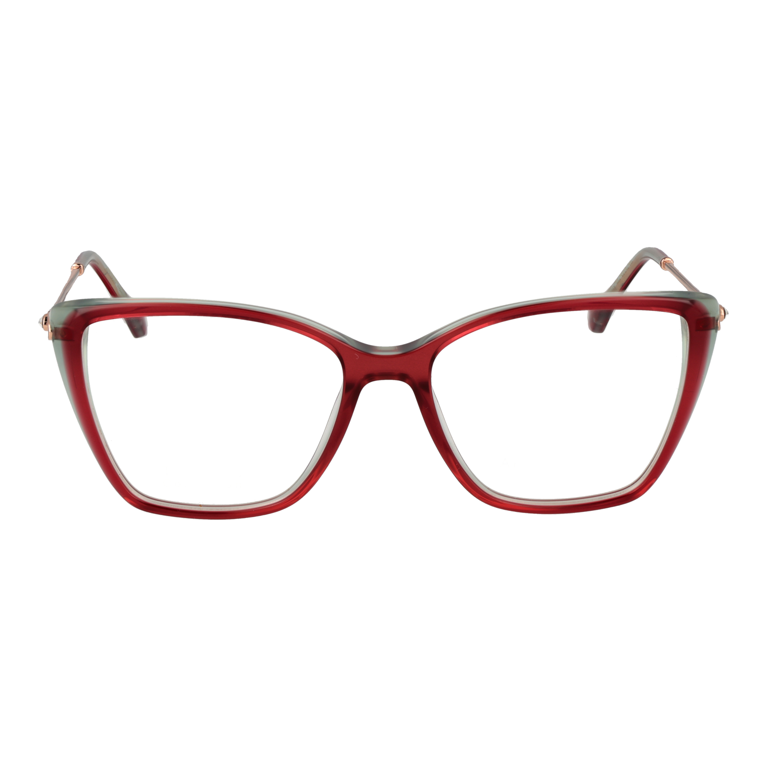 Ana Hickmann Optical Frame AH6501T H04 53