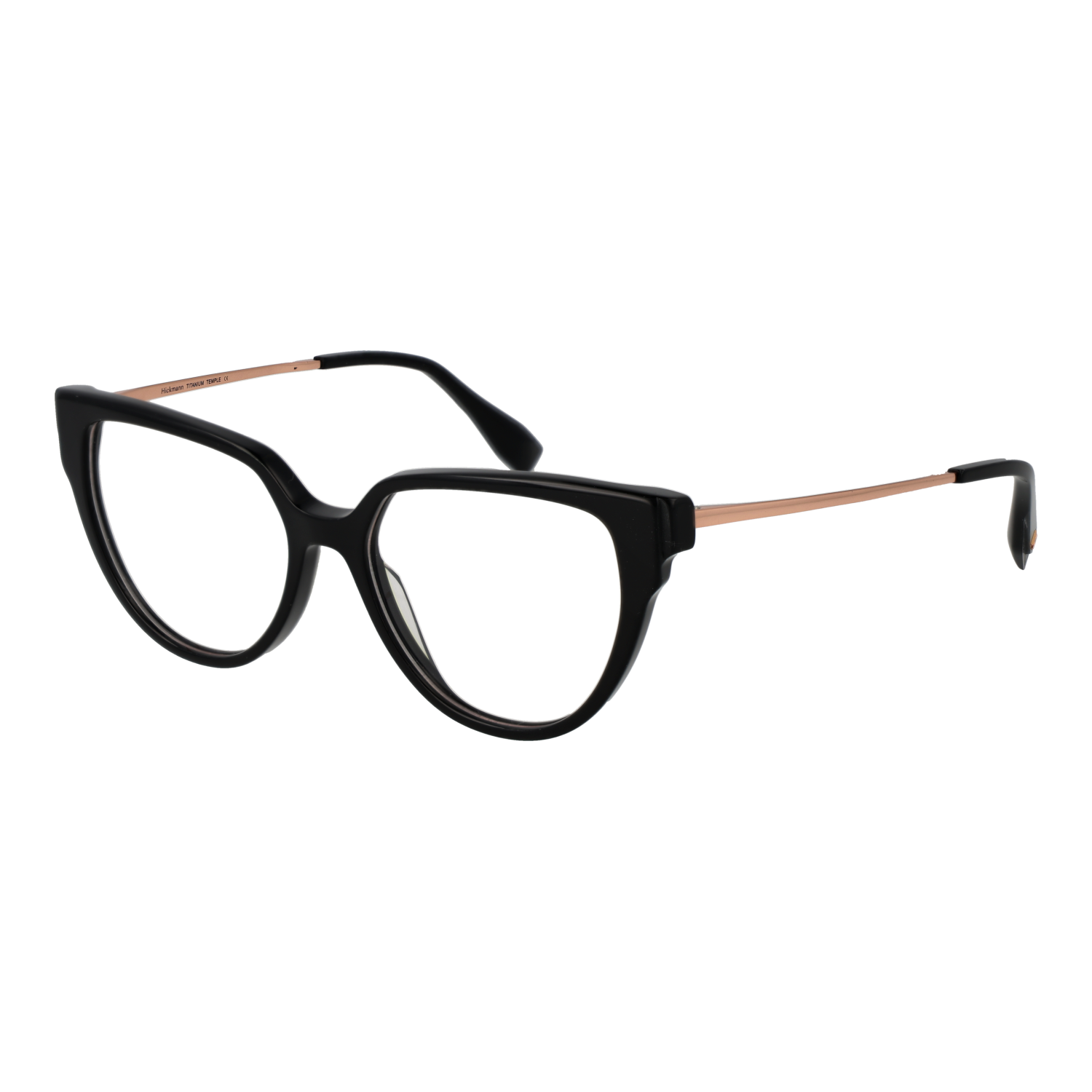 Ana Hickmann Optical Frame HI6290T A01 51 Titanium